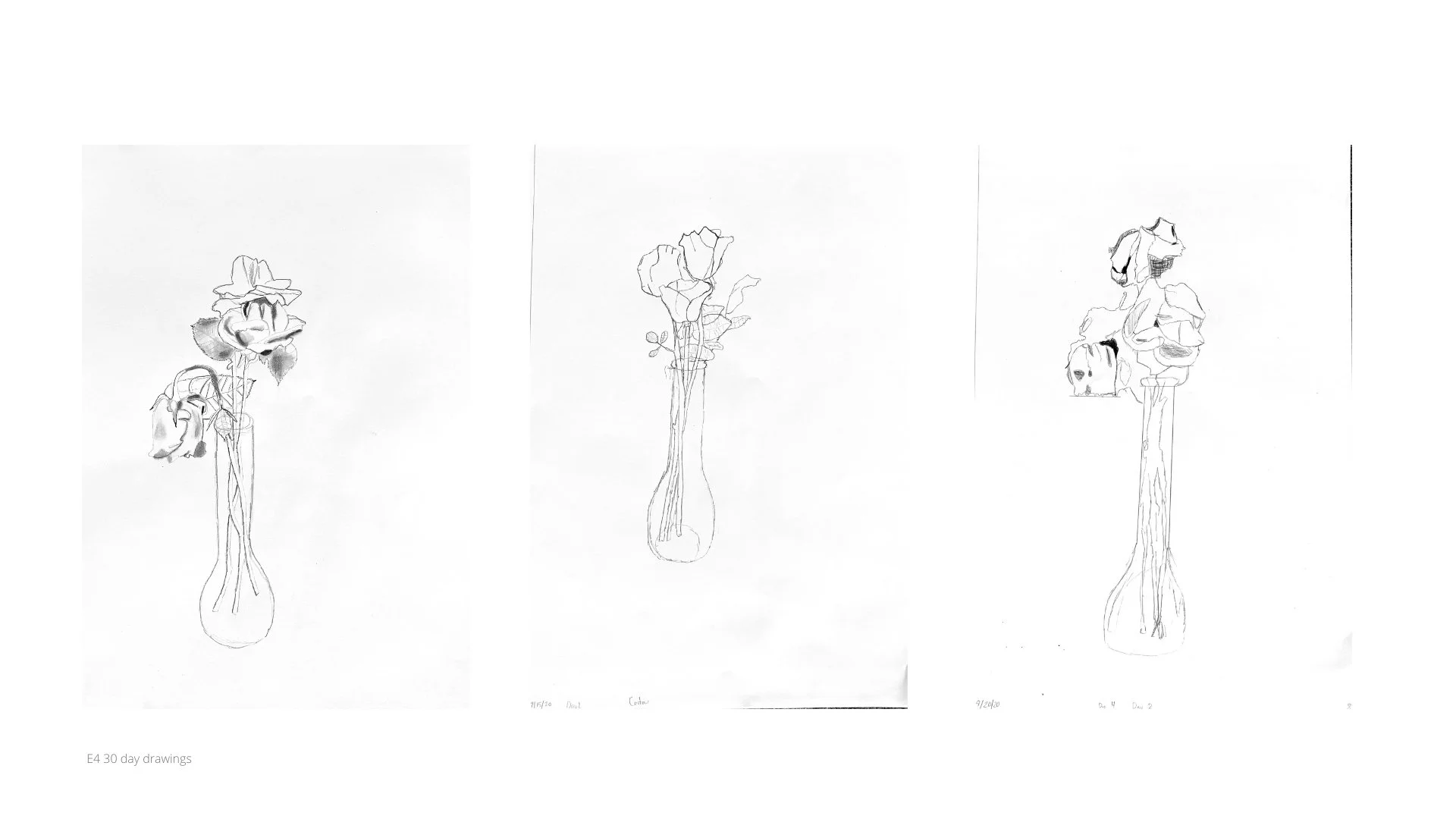 30 day drawing.jpg