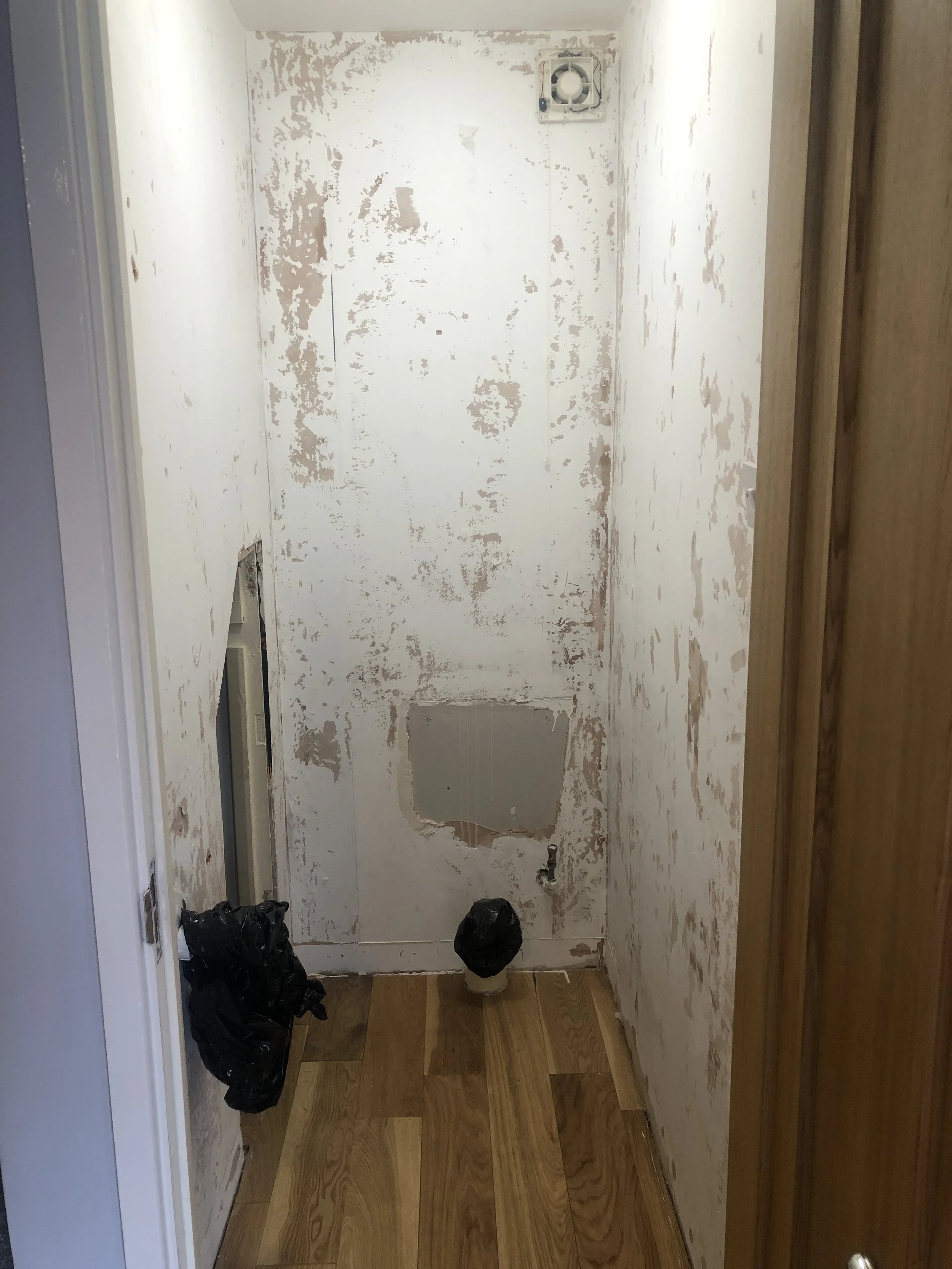 Bathroom Remodel - Before