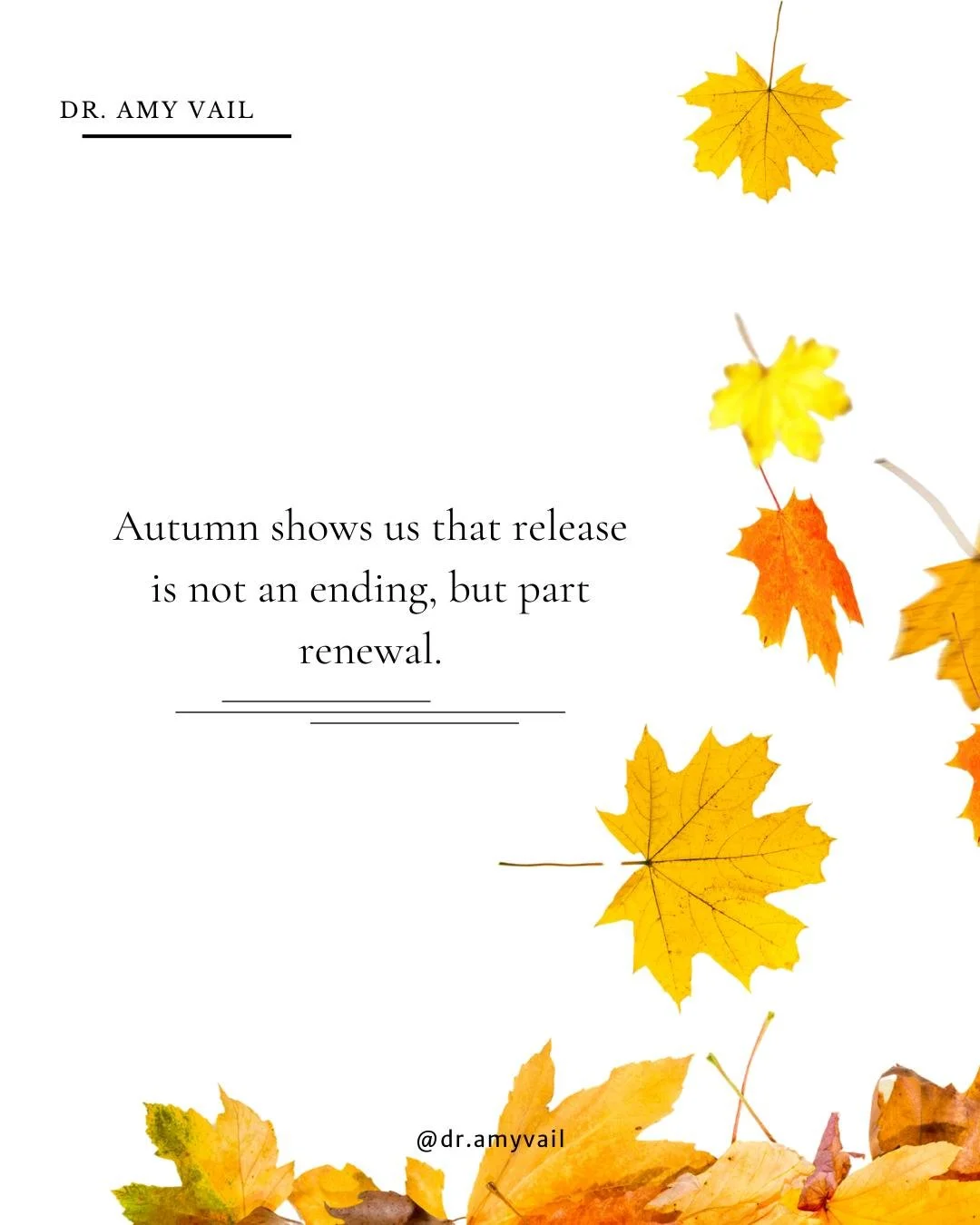 This season invites us to slow down, reflect, and let go of what no longer serves us. Create space for awareness and new growth. 🍂

✨Read more in my latest blog. Click here for the link in my bio.

#mentalhealthmatters #emotionalwellness #healingjou