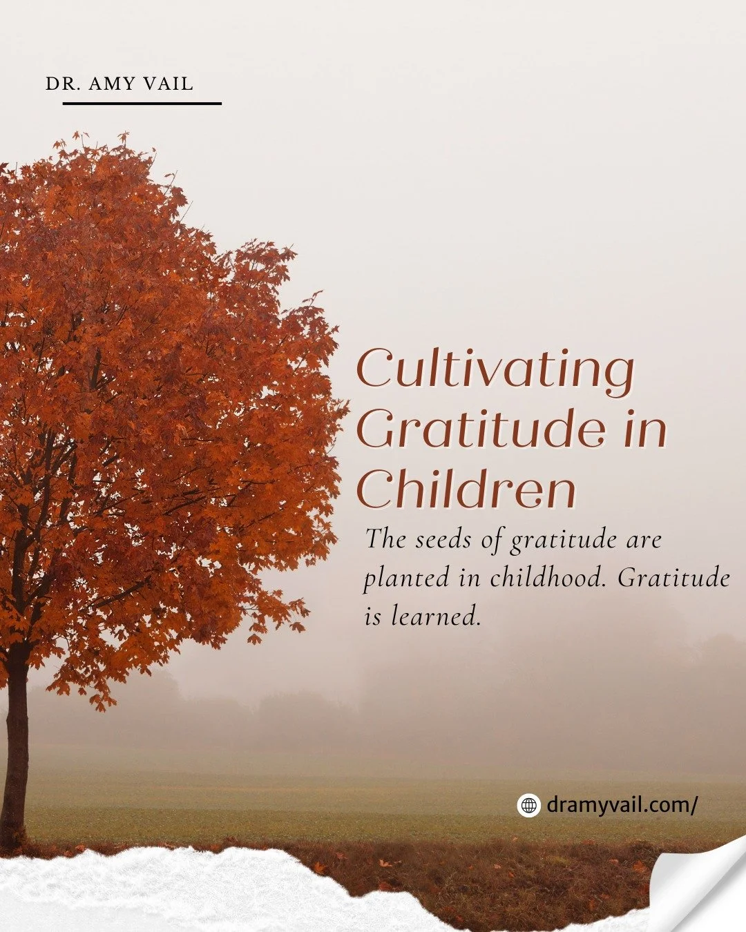 The seeds of gratitude are planted early in life. Gratitude grows from what children experience and feel at home. 🌿

By modeling appreciation, adults teach children to notice and value kindness.

🤎 Read more about nurturing gratitude in children. L