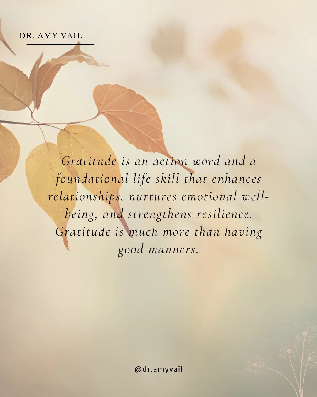 By teaching children to be gracious, we give them a powerful tool needed to create a happier, more resilient life. 🪴 

#mentalhealthmatters #emotionalwellness #mentalhealthawareness #therapistsofinstagram #mentalhealthsupport #mentalwellbeing #thera