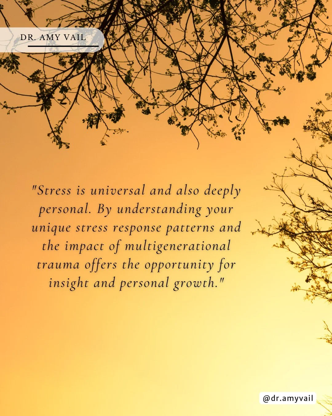 Explore practical tools to manage stress in the modern world. Honor your personal and generational patterns, and release what doesn't serve your highest self!

✨ Read more in my blog, Navigating Rising Stress in Modern Life ~ Practical Tools for Reli