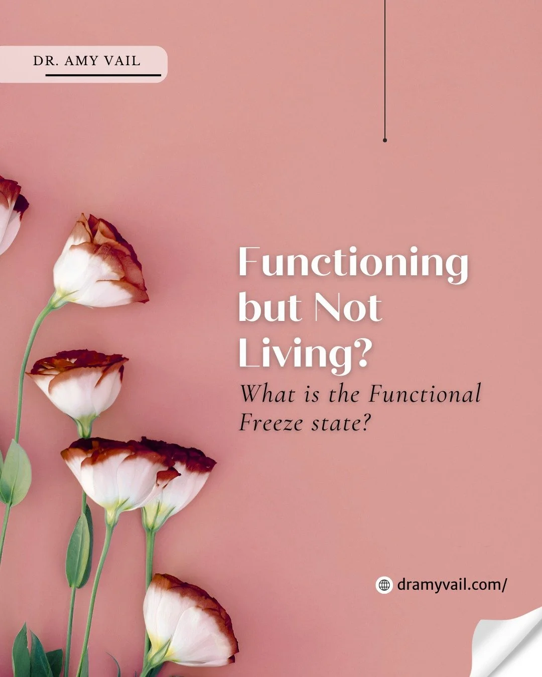 Many people, no matter how stressed they are, meet expectations and deadlines, and care for others, but feel disconnected from their lives. 🌿
A subtle stress response, called functional freeze, leaves people numb, exhausted, or on autopilot. Recover