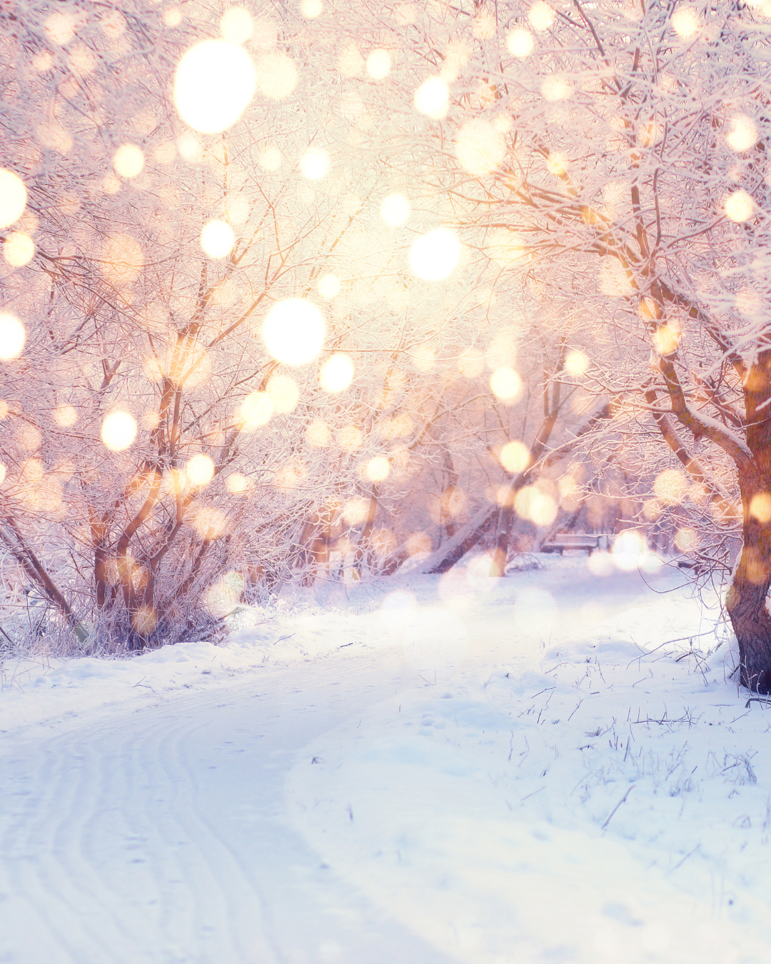 Beyond Resolutions: A More Meaningful Way to Enter a New Year