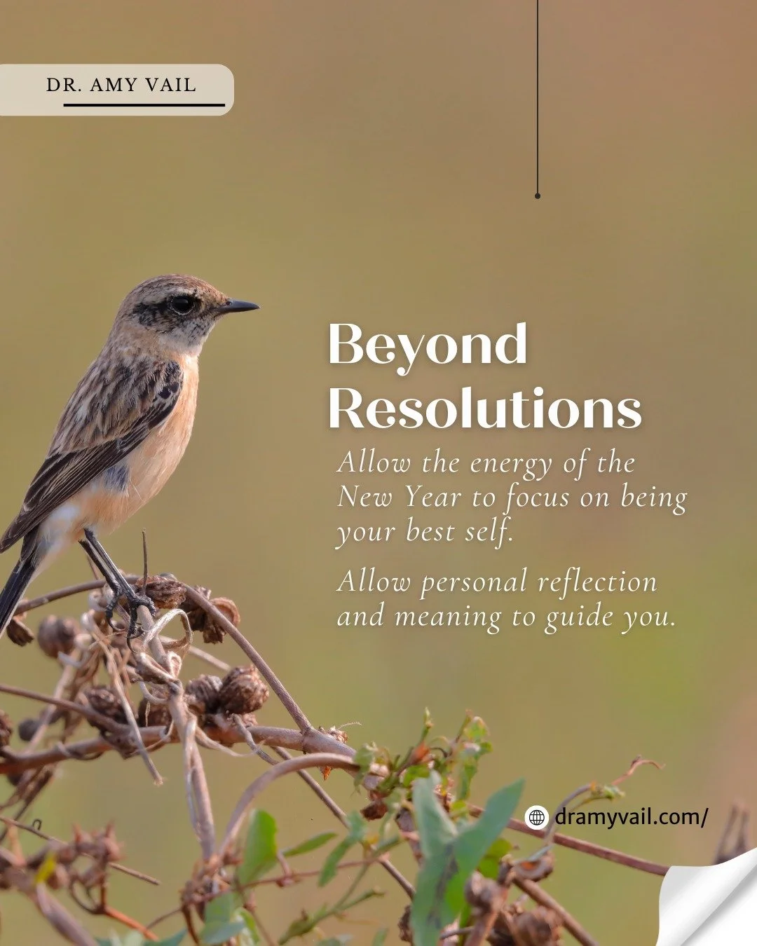 BE YOUR BEST

Each New Year offers the opportunity for reflection on our lives. These reflections allow us to identify where adjustments may be helpful. 🌿

Many people make New Year&rsquo;s resolutions with the focus on changing or fixing themselves