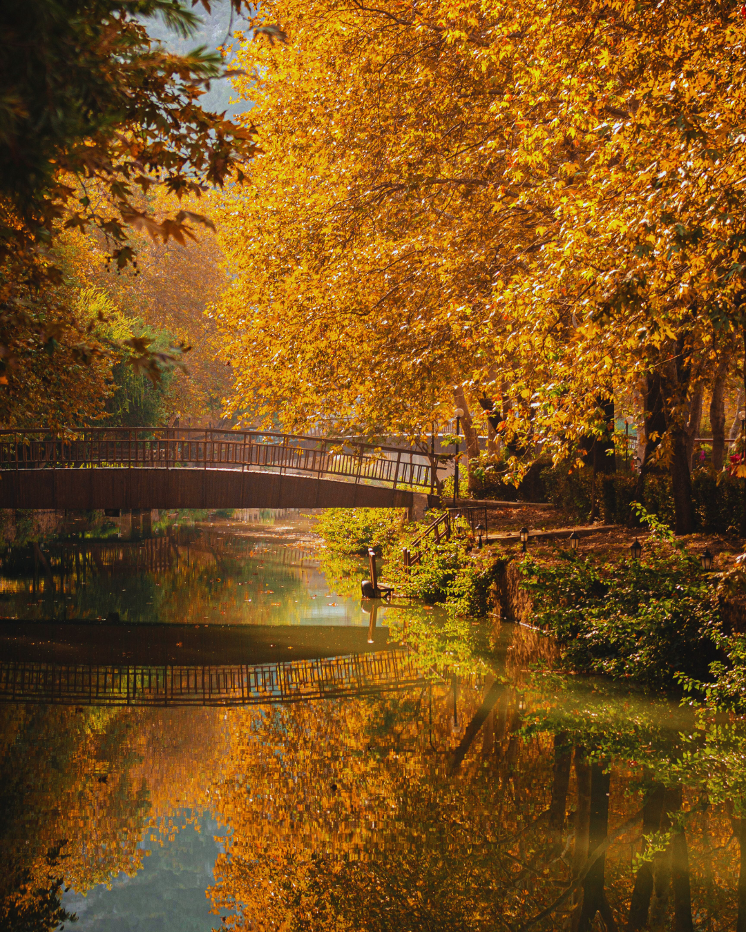 How to Protect Yourself From Unsolicited Advice