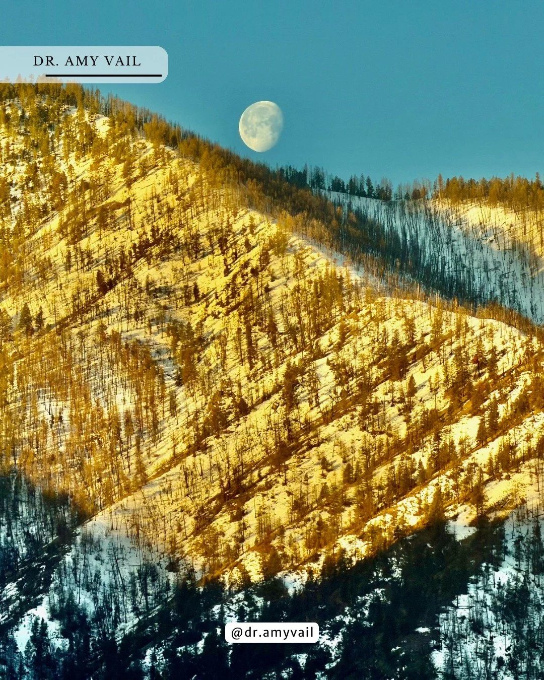 Good night, moon - good day, world!

#PeacefulMoments #DailyReflection #GratitudeDaily