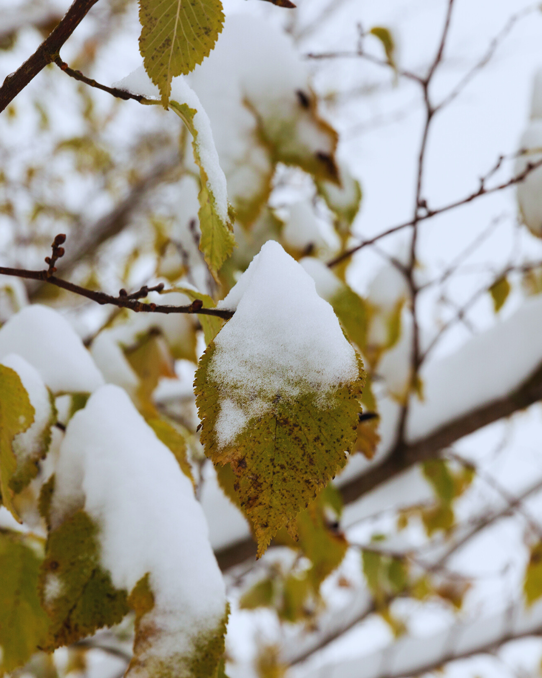 The Influence of Early Childhood Experiences on Adult Relationships&nbsp;