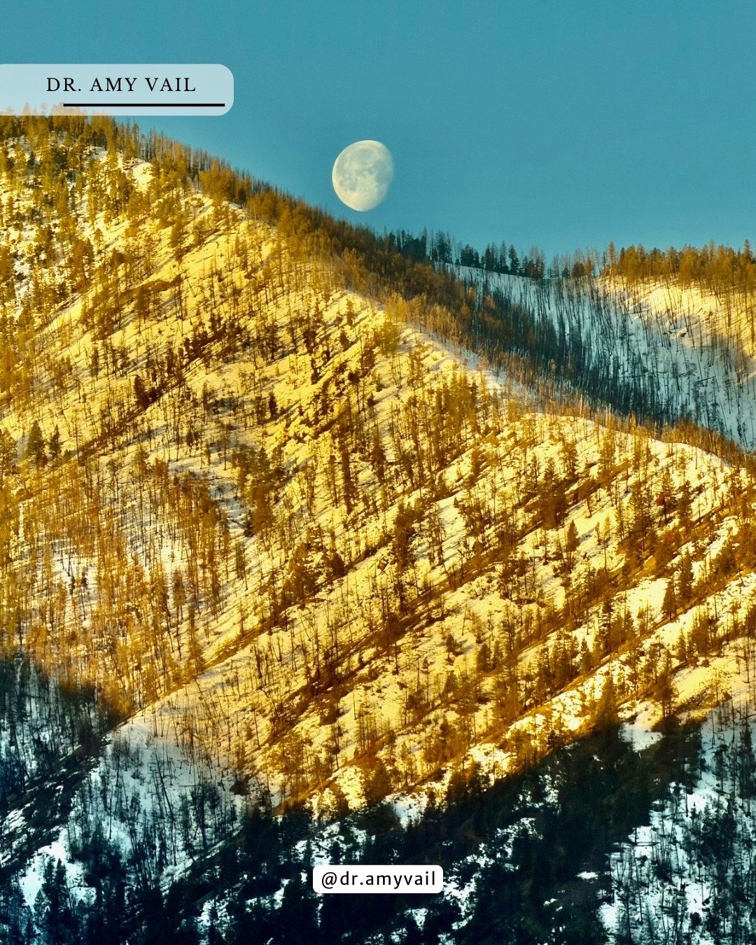 Good night, moon - good day, world!

#PeacefulMoments #DailyReflection #GratitudeDaily