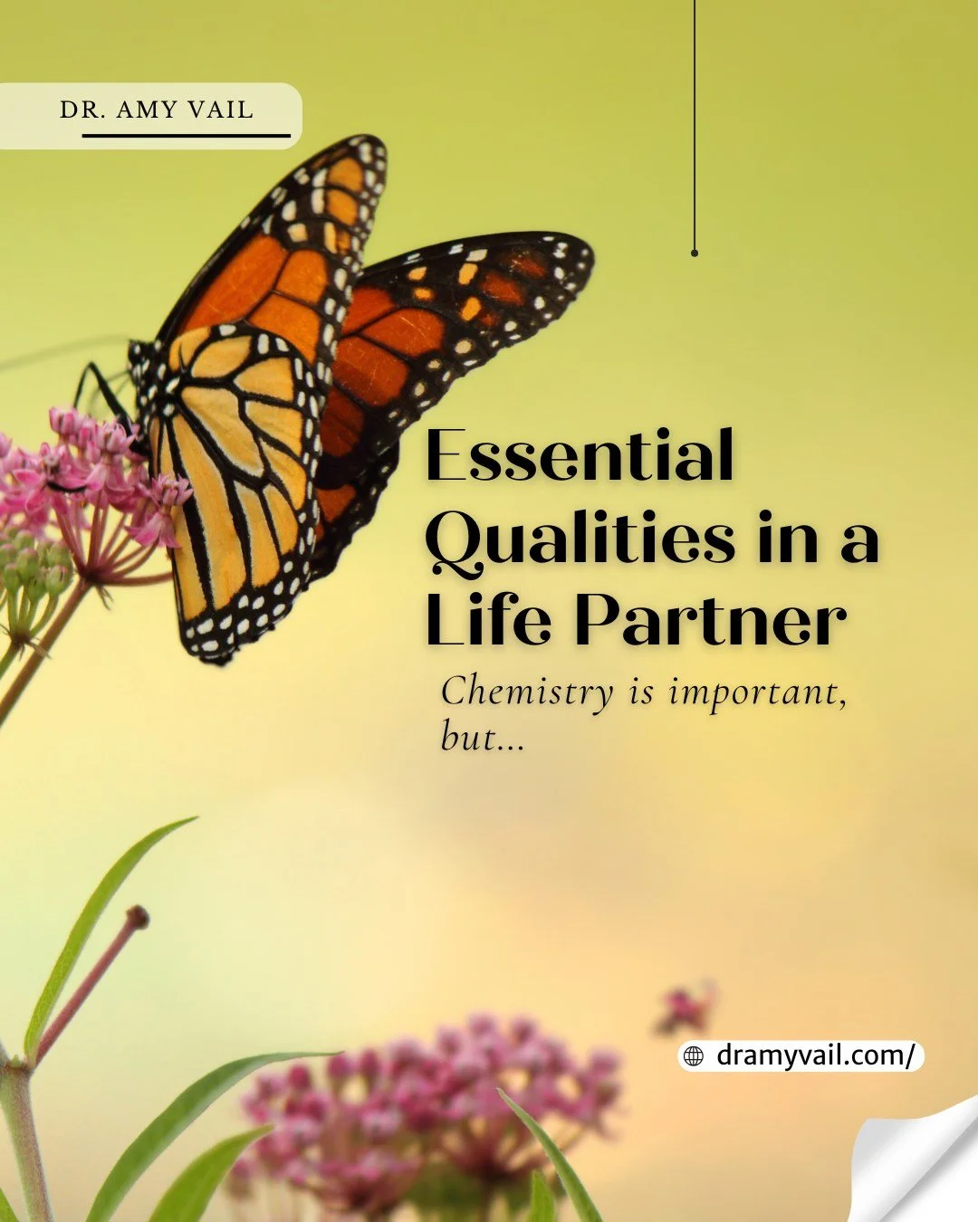 When considering a life partner,  look for more than &lsquo;physical attraction&rsquo; and &lsquo;chemistry.&rsquo; 🤍

Look for someone who is responsible, emotionally available, consistent, respects autonomy, and who remains kind while stressed. Th