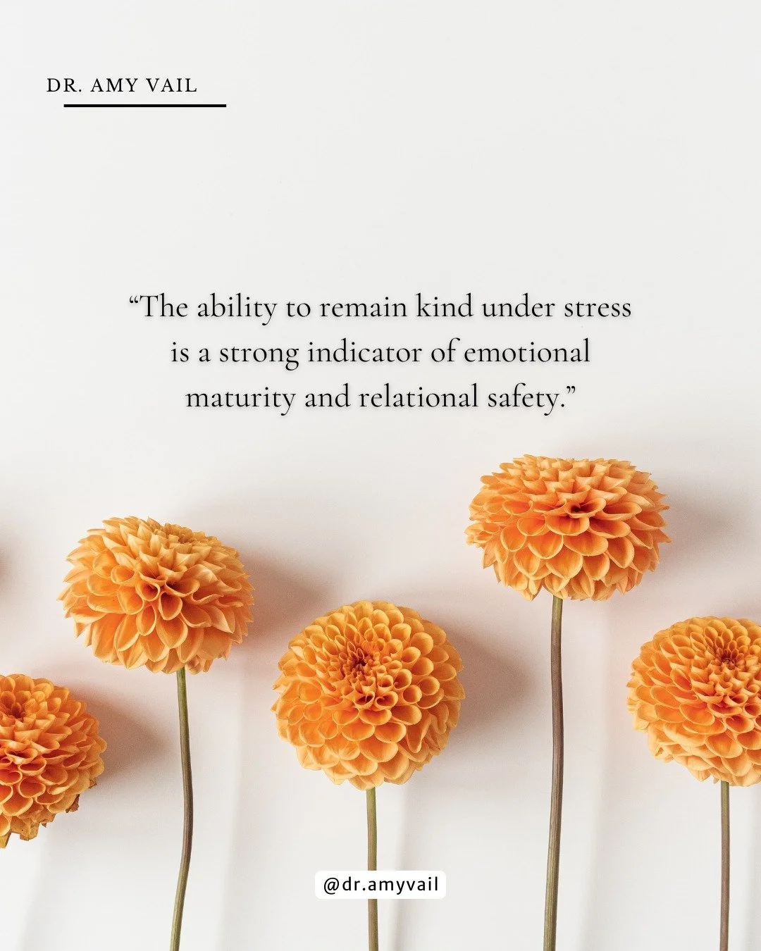 How people treat others while dealing with stressful conditions is a good indicator of their true character. 💛

#HealthyRelationships #EmotionalMaturity #RelationalSafety #MindfulDating