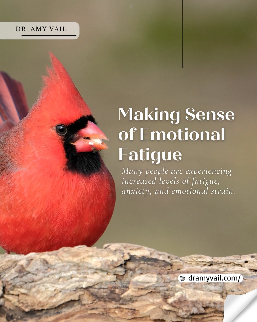 Emotional fatigue is a byproduct of sustained stress on your nervous system. Feeling drained, foggy, or irritable does not mean there is something wrong with you. Be gentle with yourself and prioritize rest and nutrition. ❤️

📖 Read the full blog, l