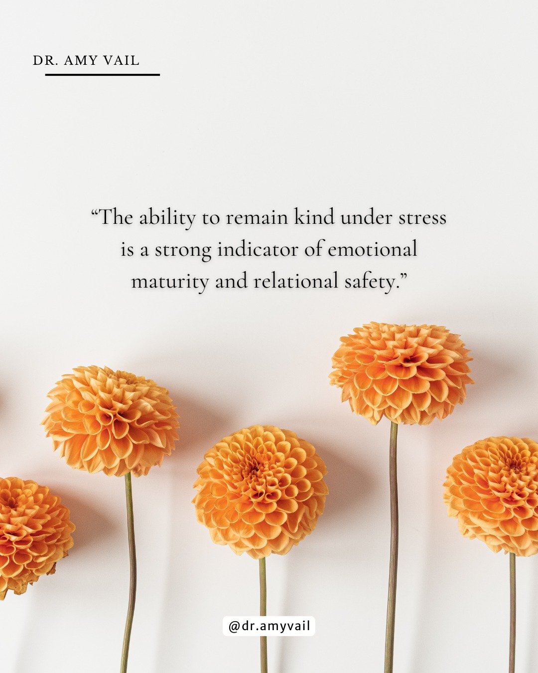 How people treat others while dealing with stressful conditions is a good indicator of their true character. 💛

#HealthyRelationships #EmotionalMaturity #RelationalSafety #MindfulDating