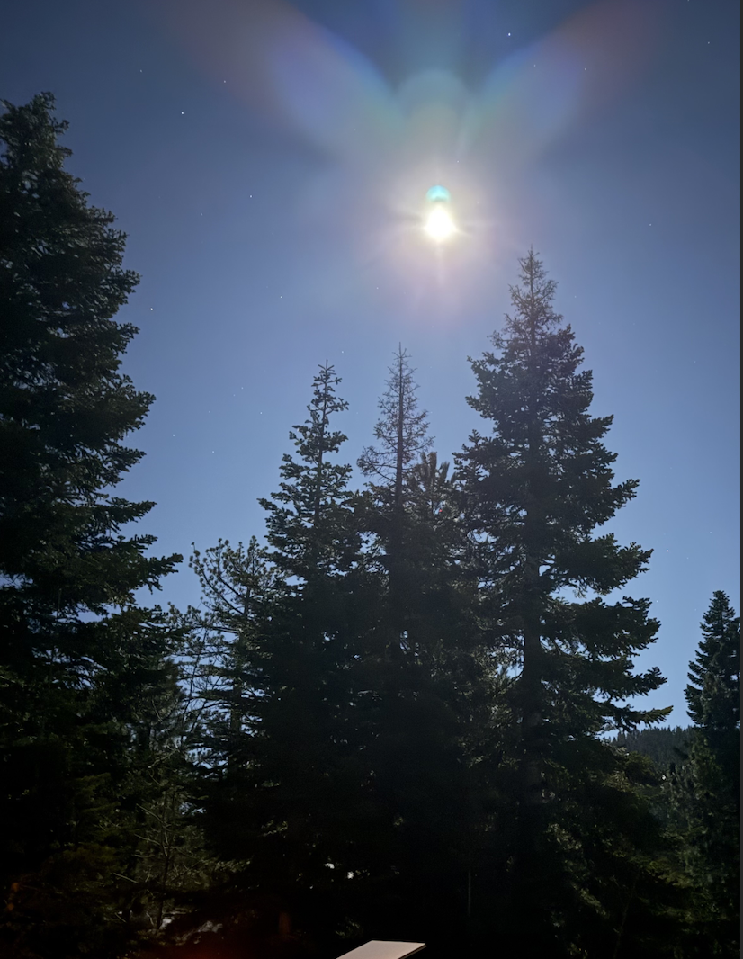 Reflections on the Blood Worm Moon Total Eclipse