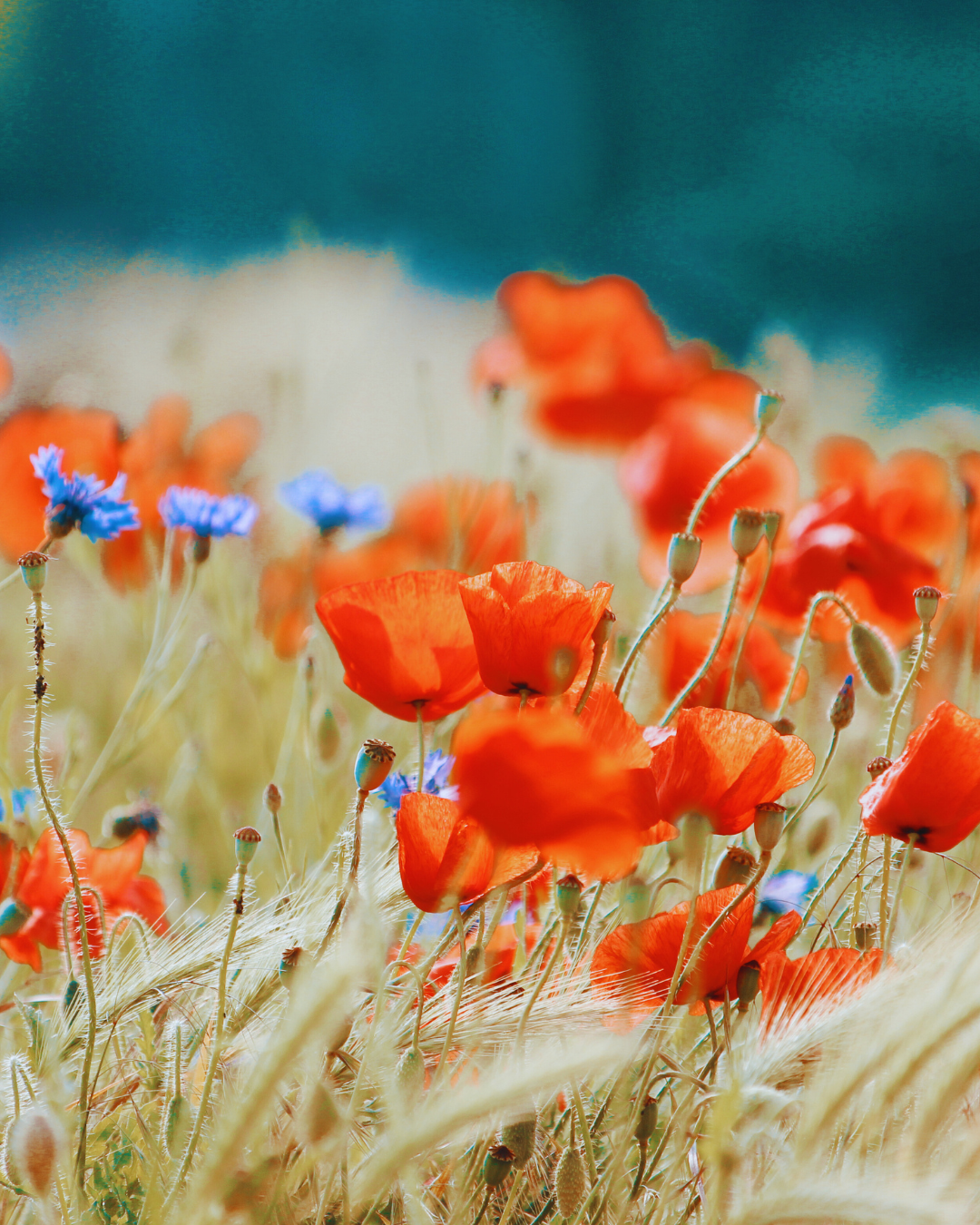 Recognizing and Transforming Repetitive Life Patterns: A Psychological Perspective