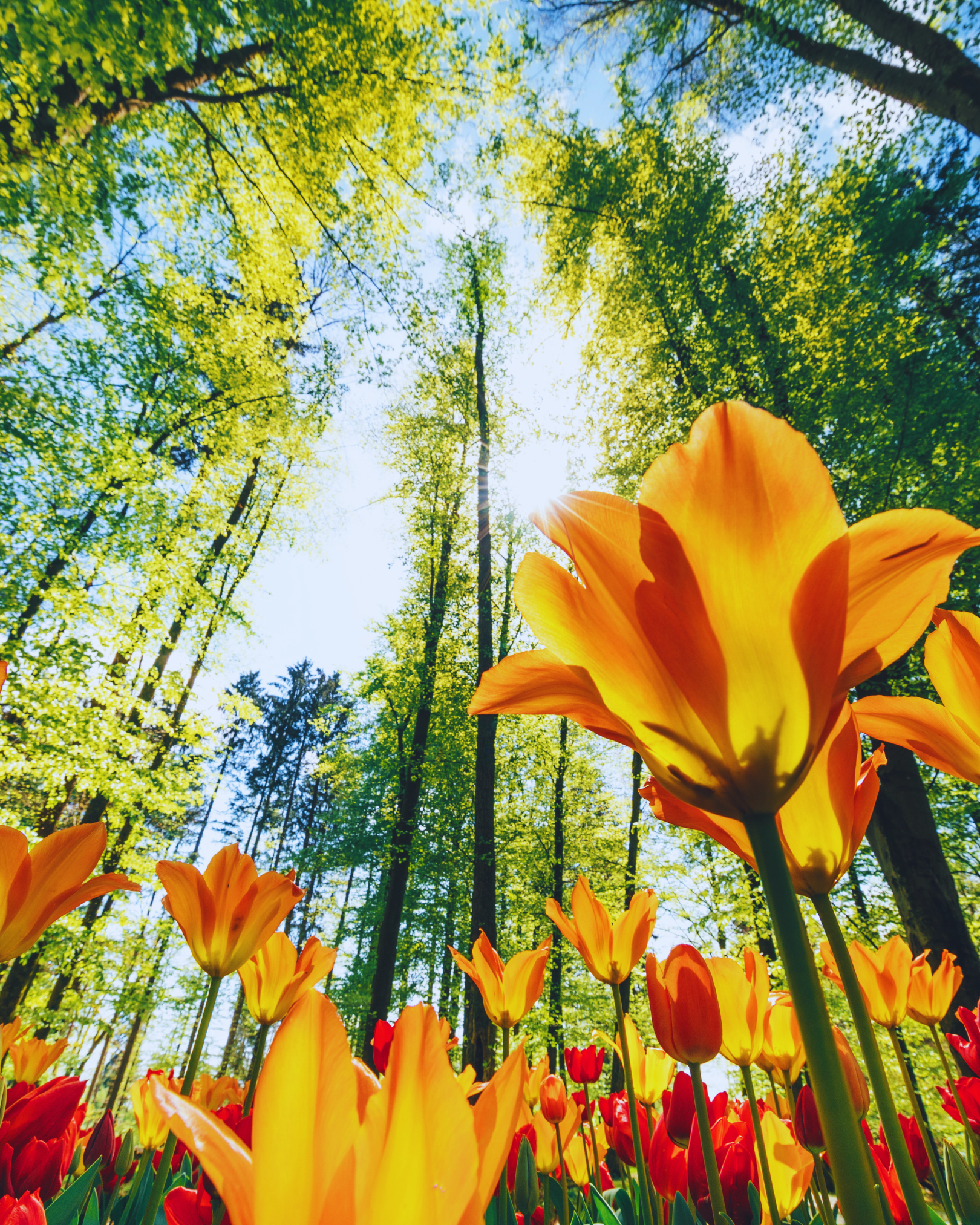 You're Not Too Sensitive — Your Nervous System Is Doing Its Job