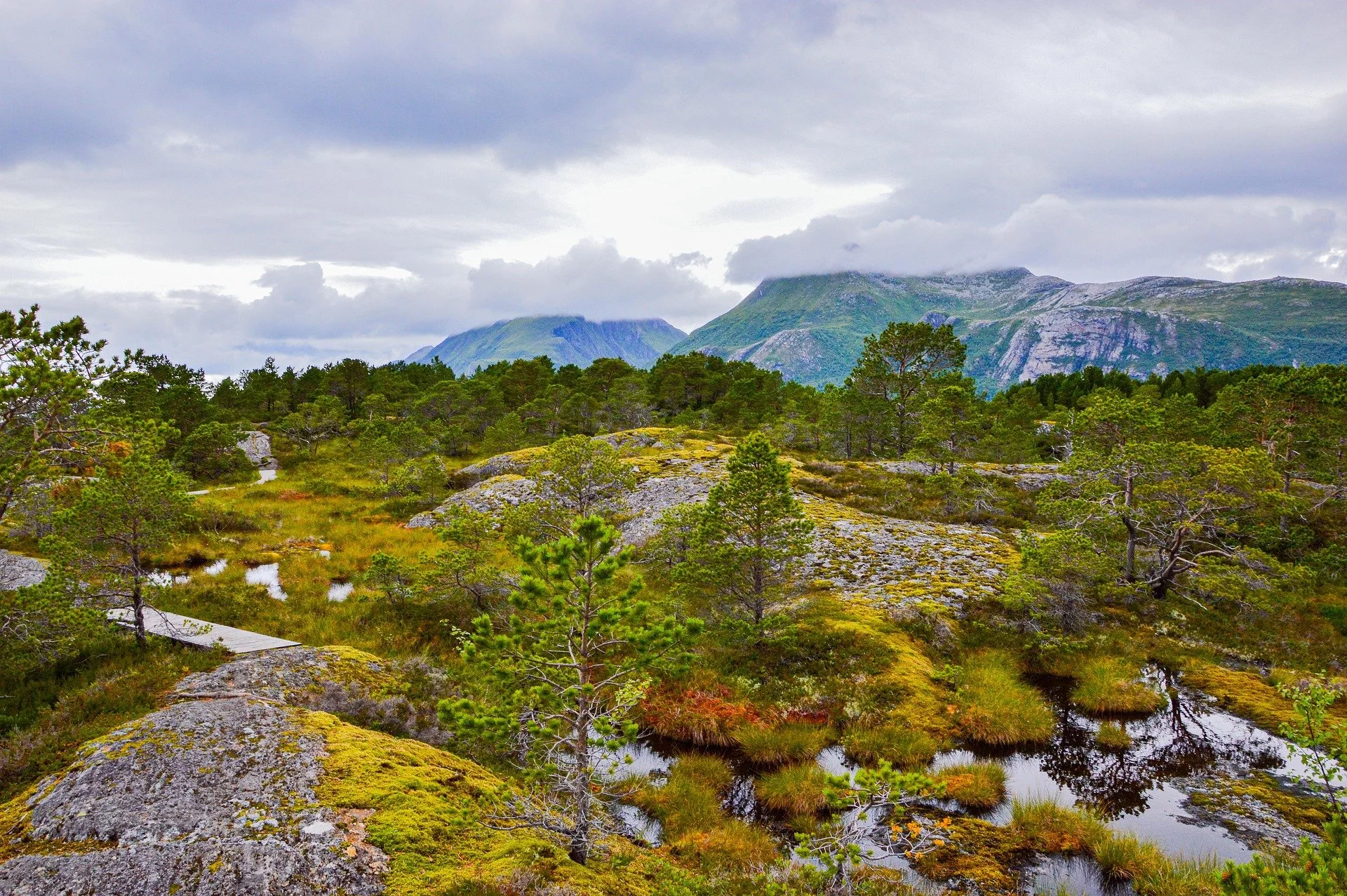 The Power of Kindness and Focused Attention&nbsp;