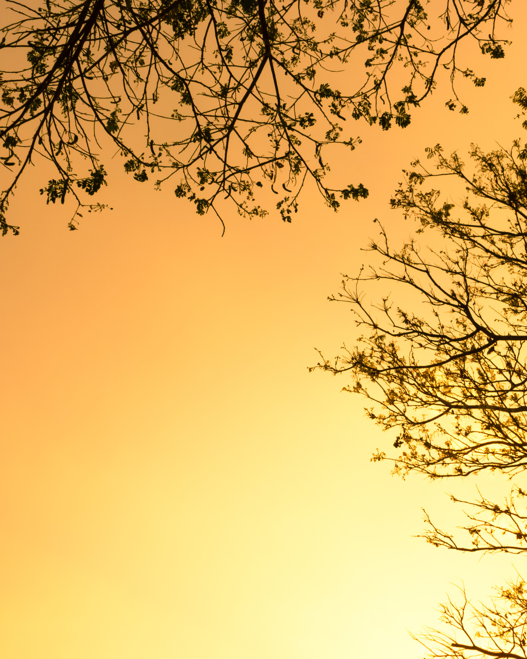 Is It Anxiety or Intuition?