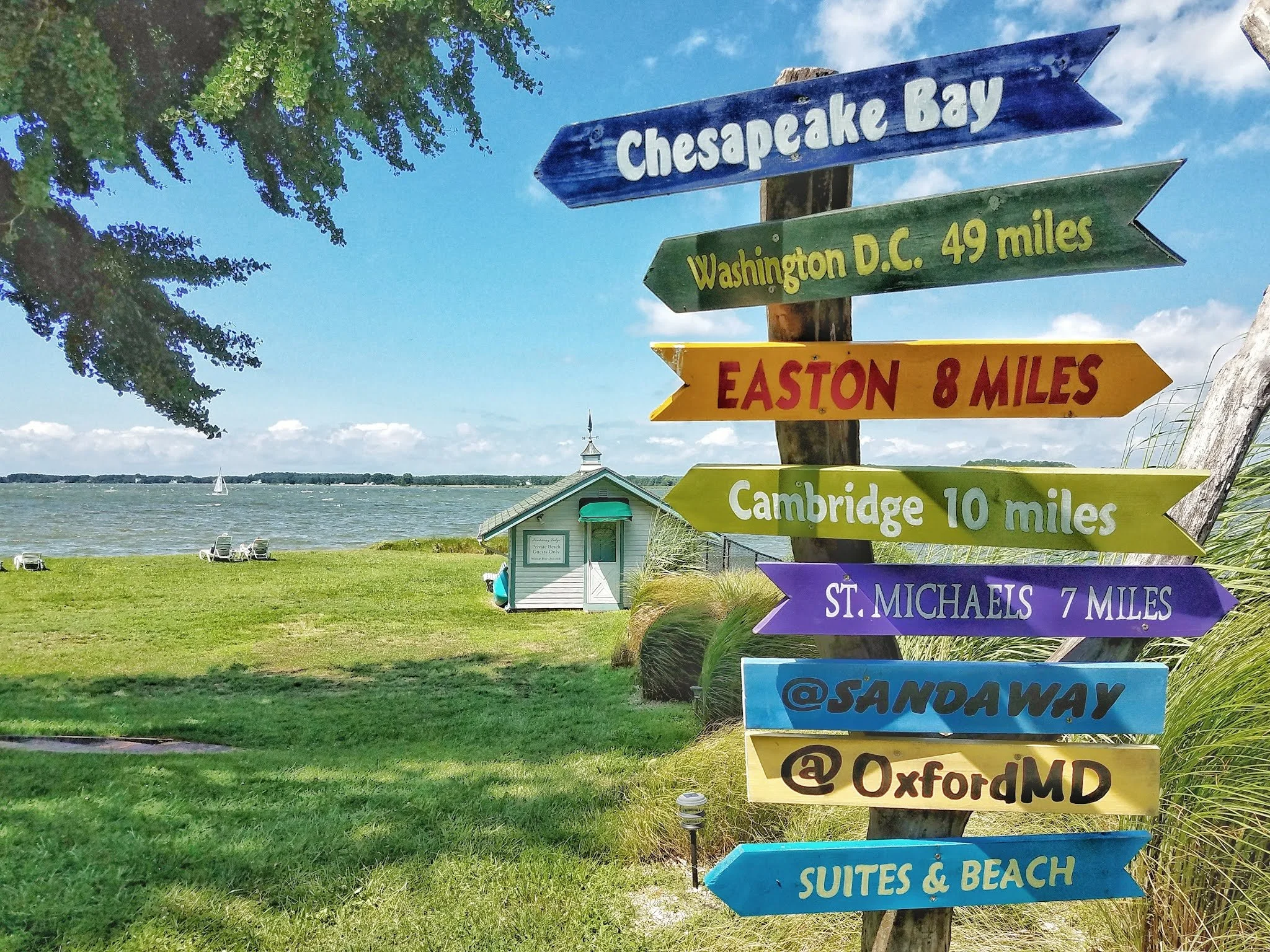 Eastern Shore Image.jpeg