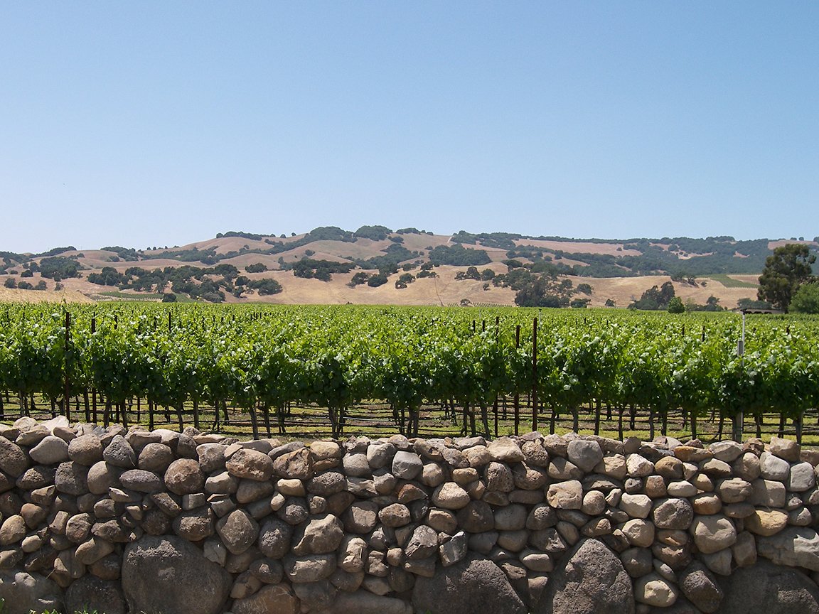 greenvines rockwall.jpg