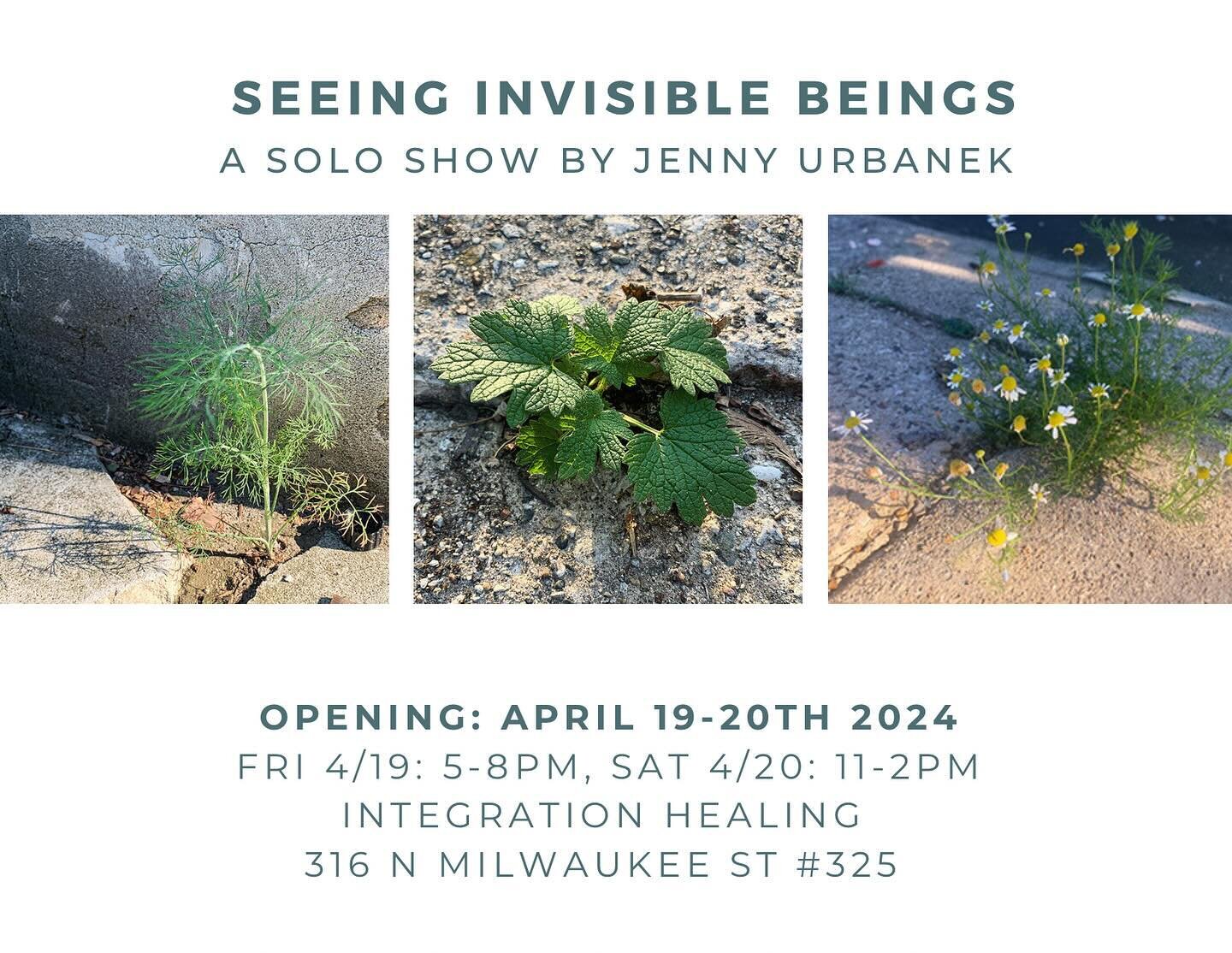 Super jazzed for my first solo show ever! Save the date and come to my art show for @gallerynightmke! 
.
.
.
#mkeartist #plants #seeingtheunseen #photography #plantsincracks