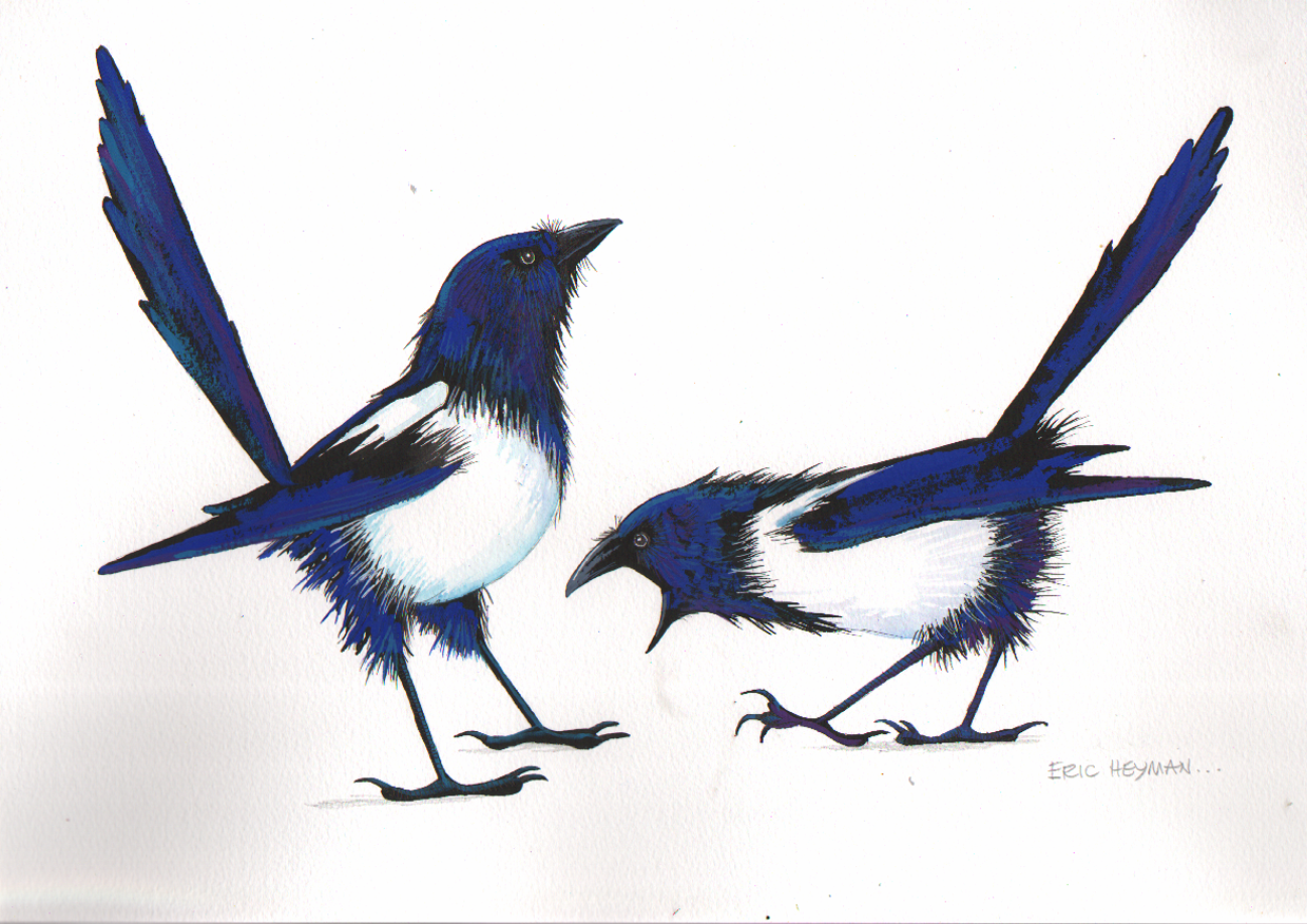 ONE FOR SORROW TWO FOR JOY (magpies)Eric Heyman.jpeg
