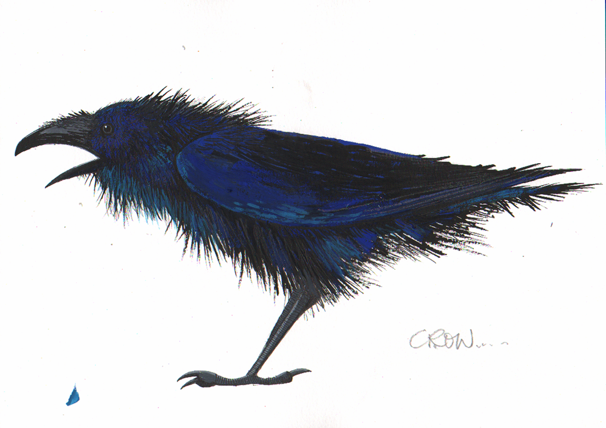 CROW ILLUSTRATION  Eric Heyman.jpeg