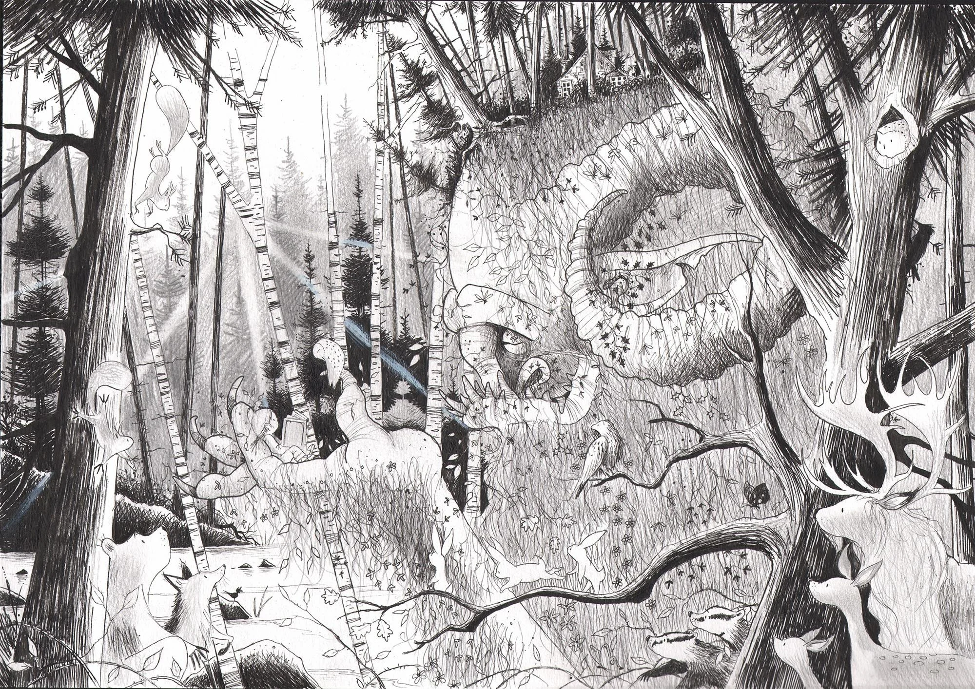 E.HEYMAN THE ENCHANTED FOREST.jpg