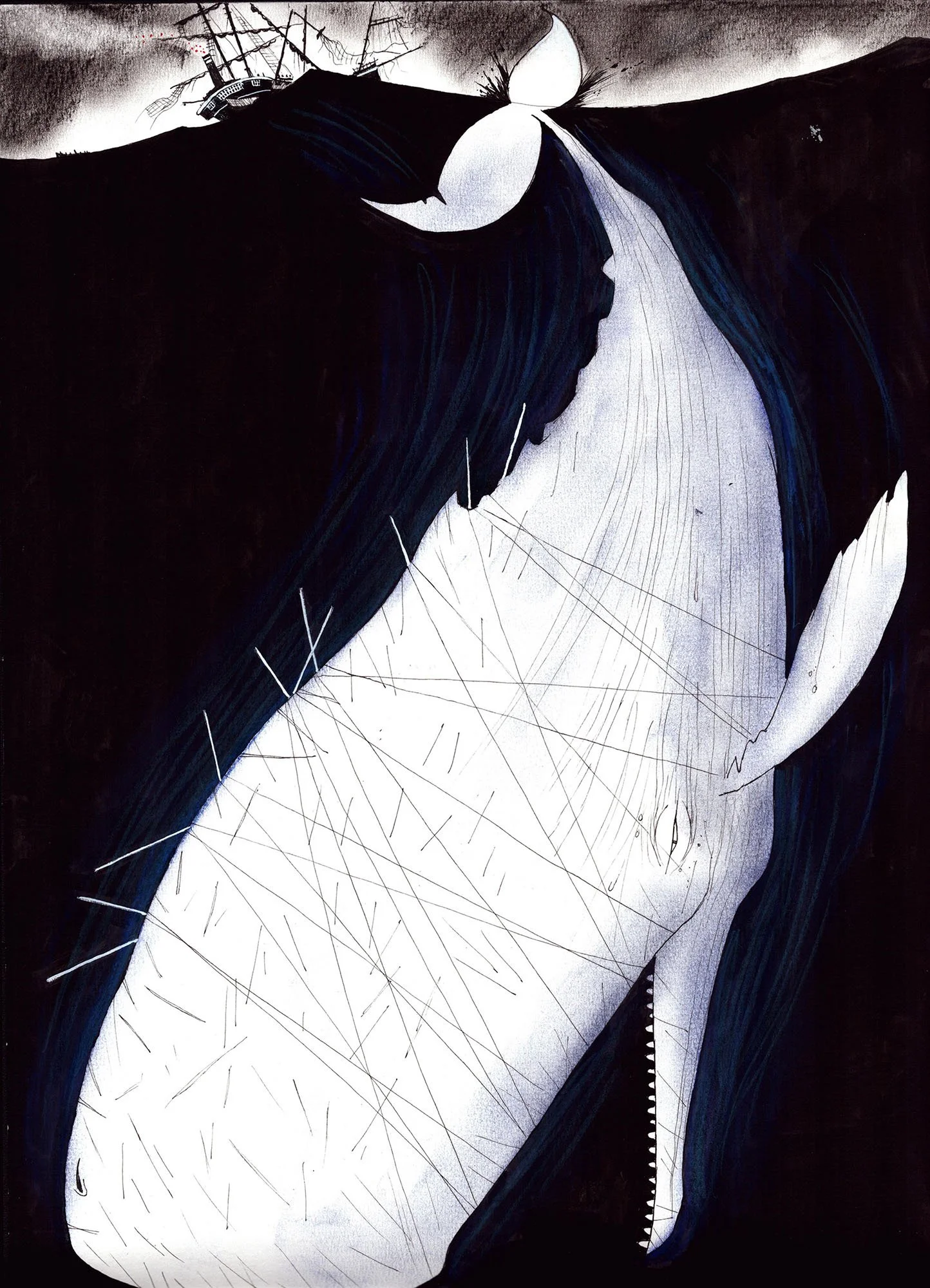 MOBY DICK... THE WHITE WHALE.jpg