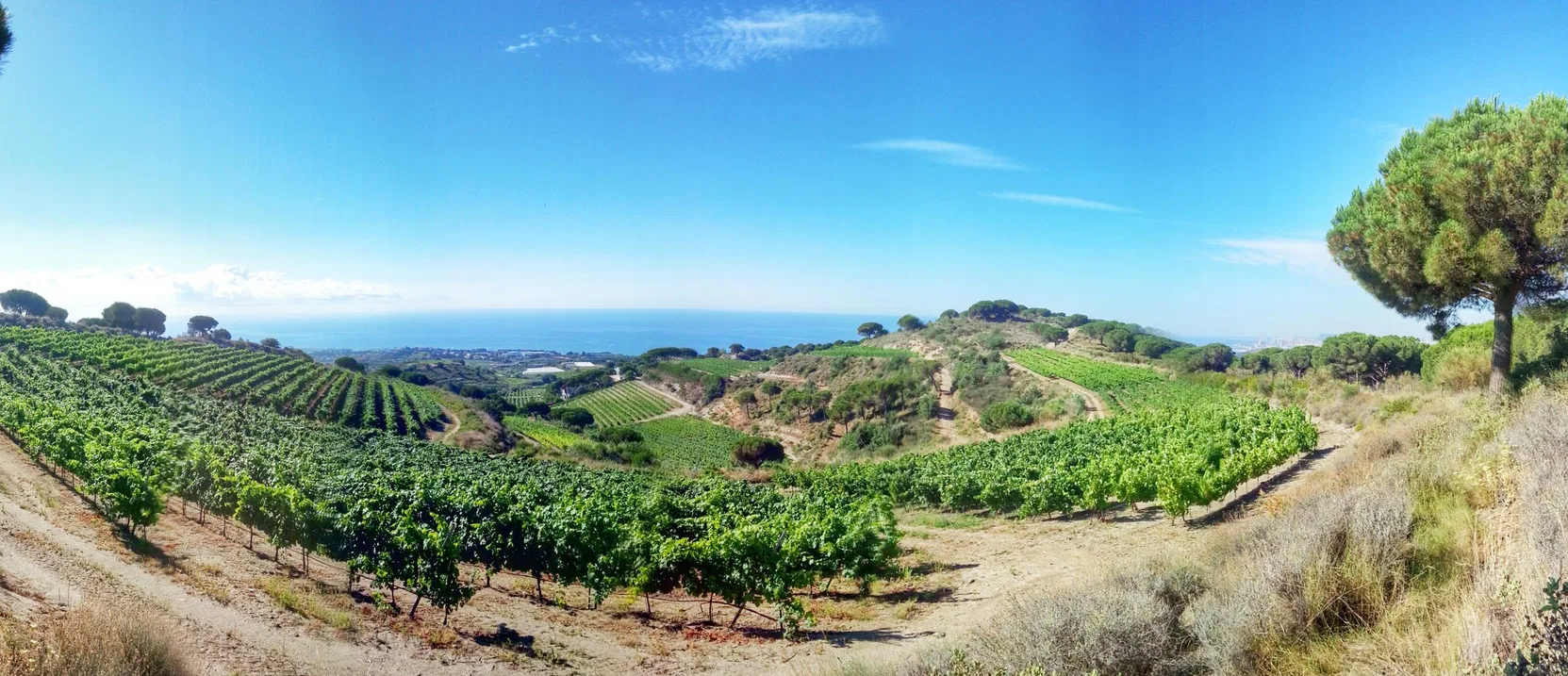 When is the best time of year to sell a property in Barcelona?