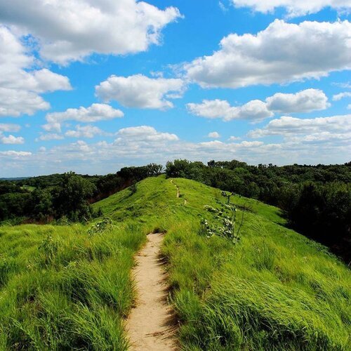 Loess Hills Field Guide — Rural Revival