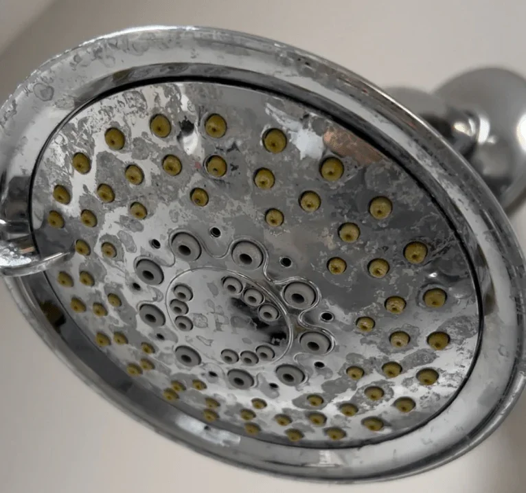 Close-up of a showerhead with mineral buildup, showing numerous nozzles.