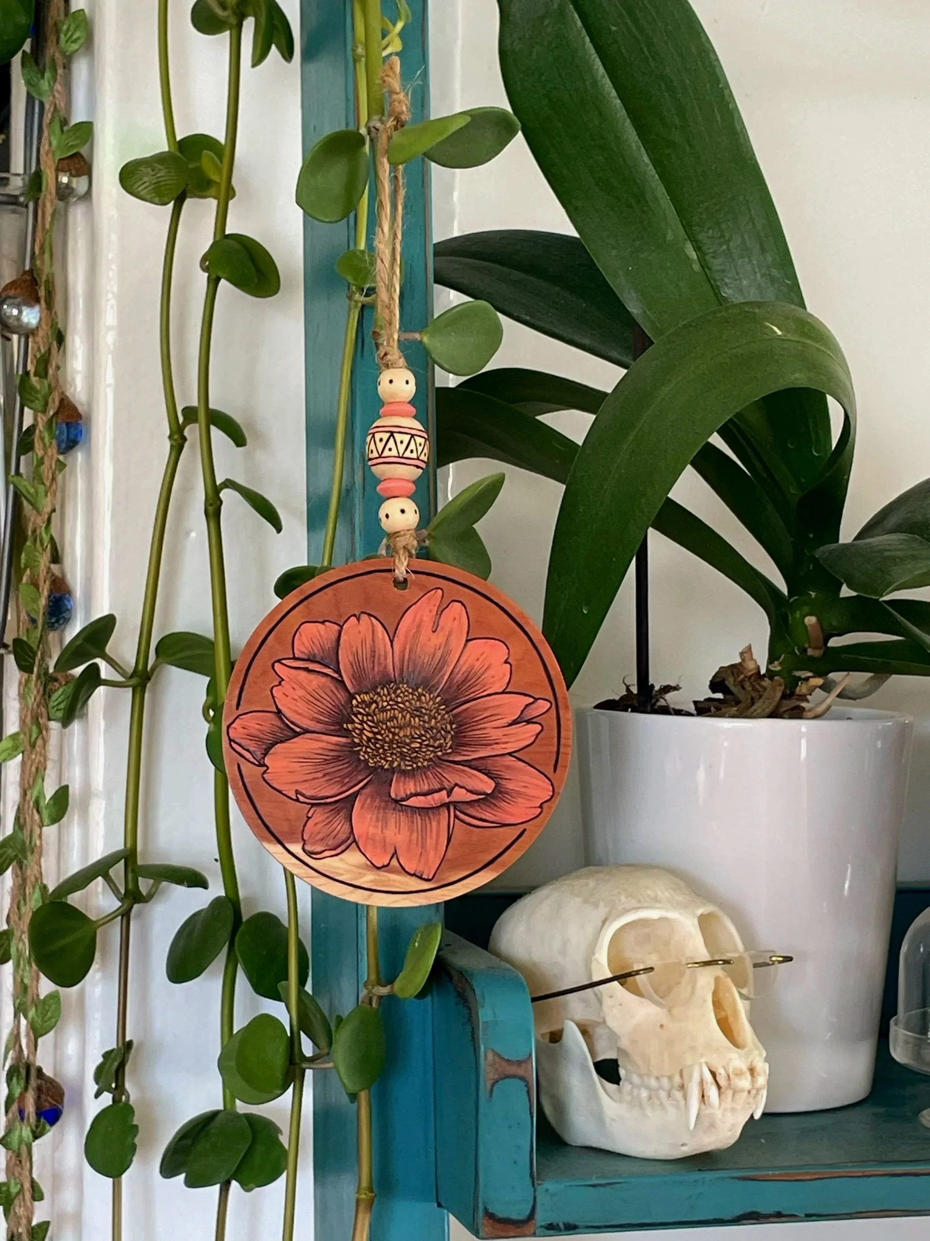 Coral Magnolia - April 2025