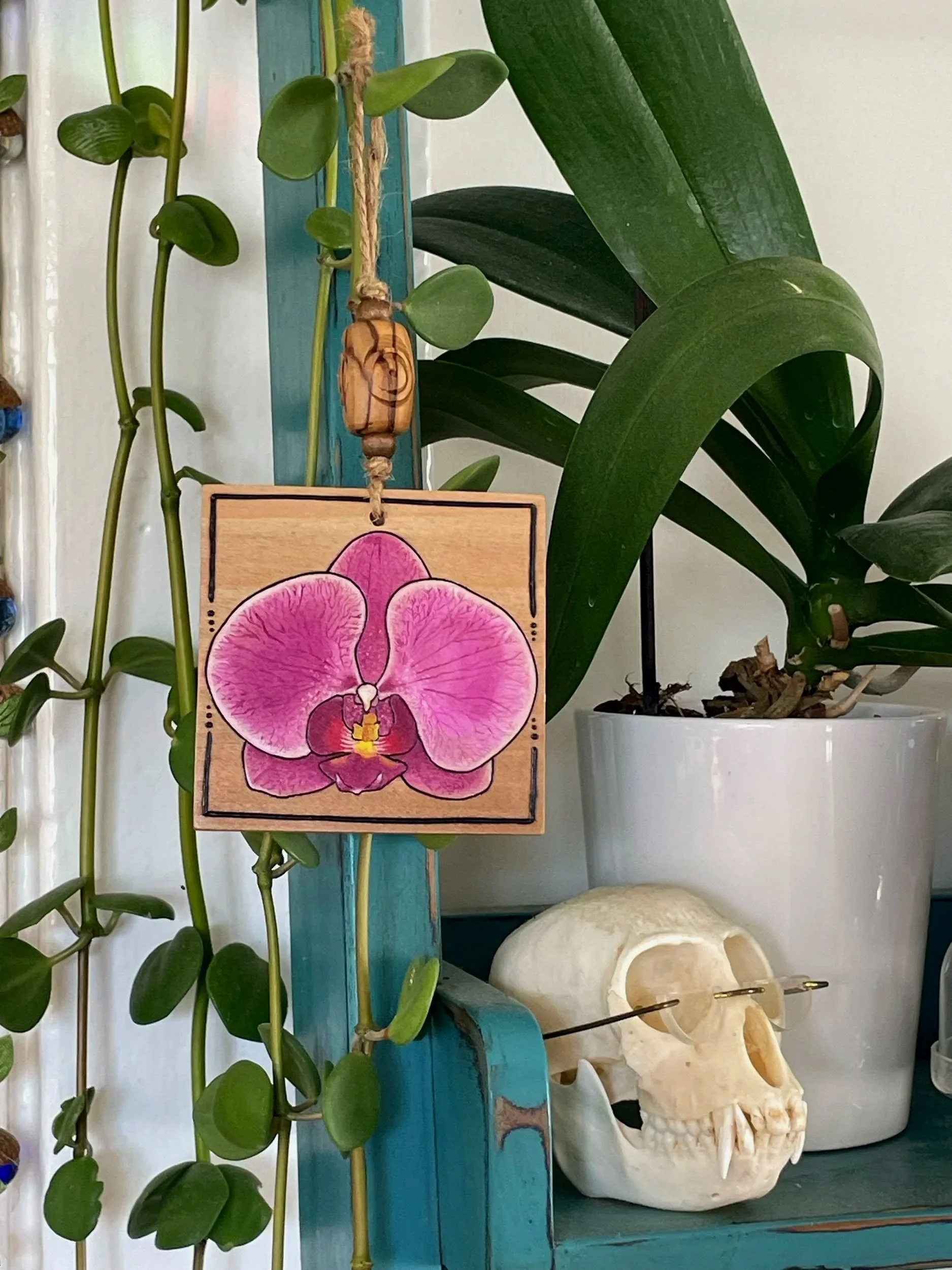 Pink Orchid - April 2025