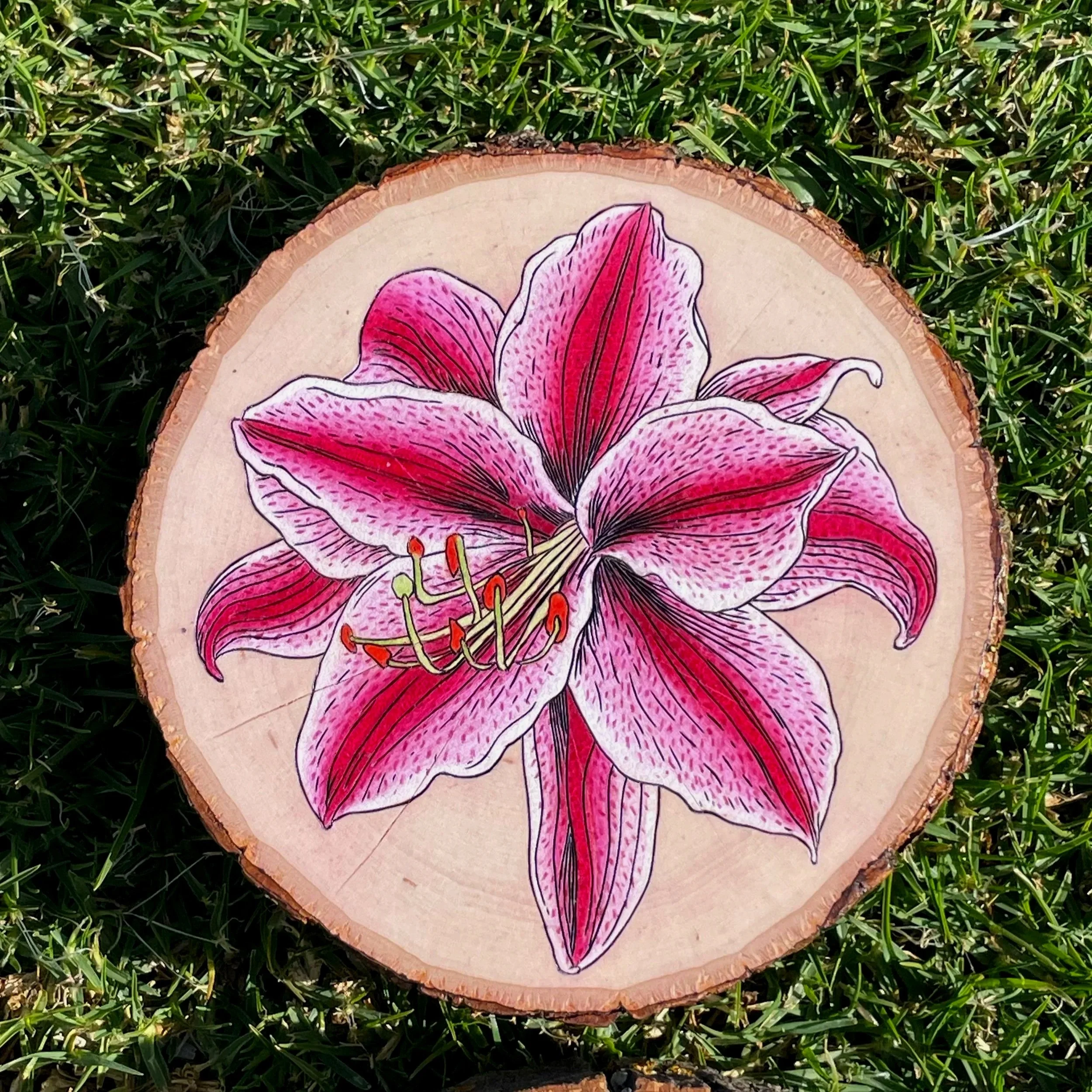 Double Oriental Hybrid Lily - January 2025
