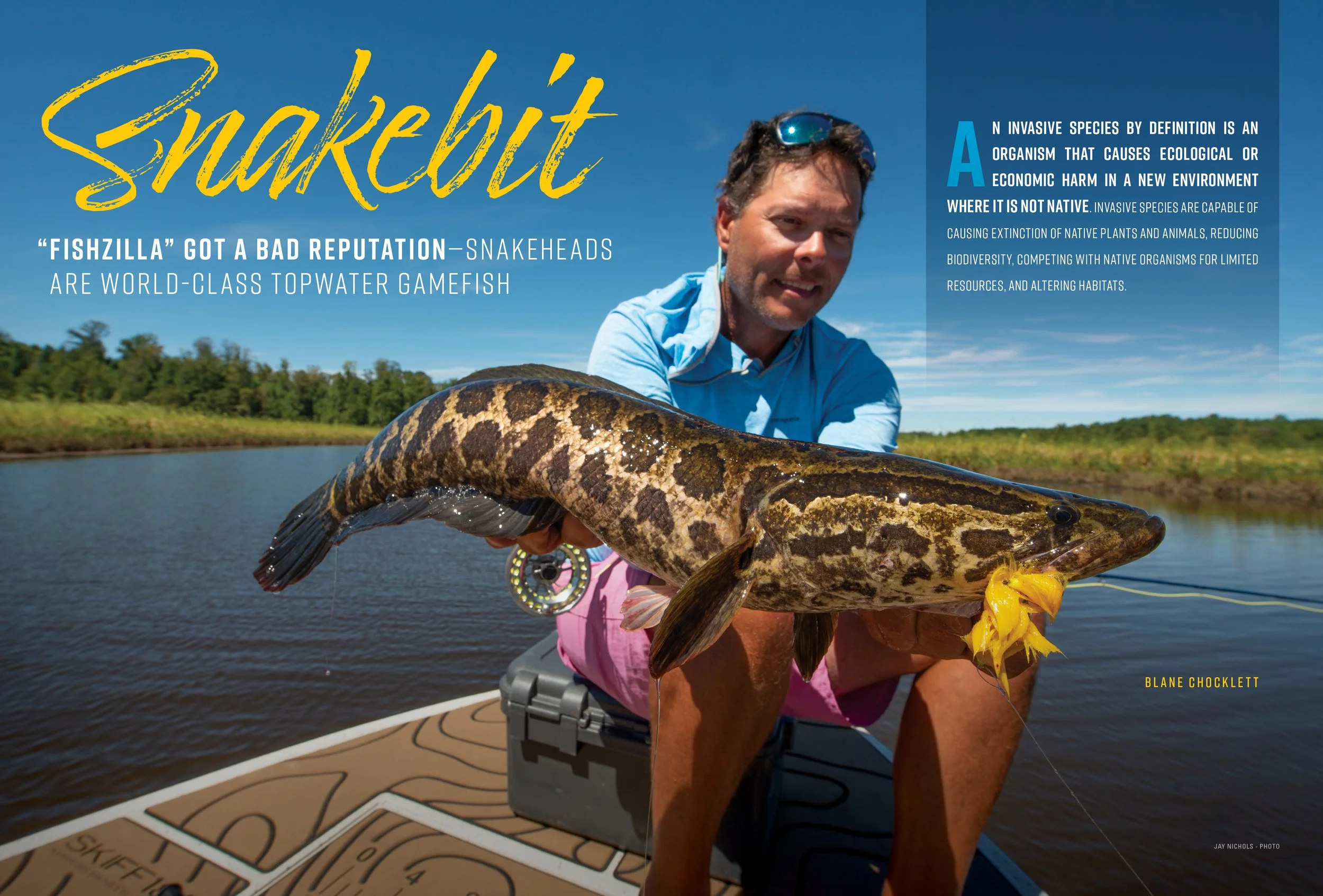 Snakebit: How to Fly Fish for Snakeheads