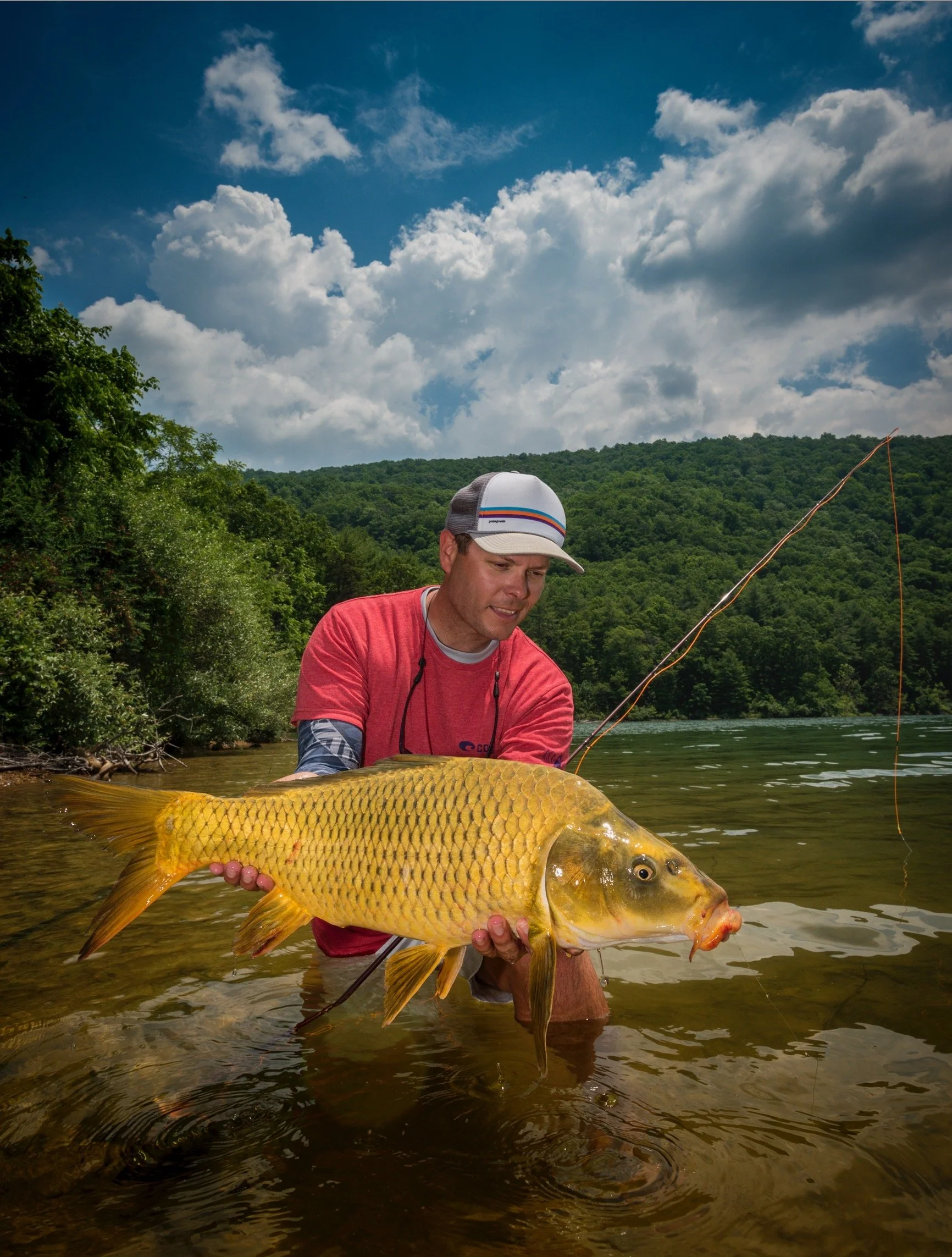 How to Fish a Cicada Hatch
