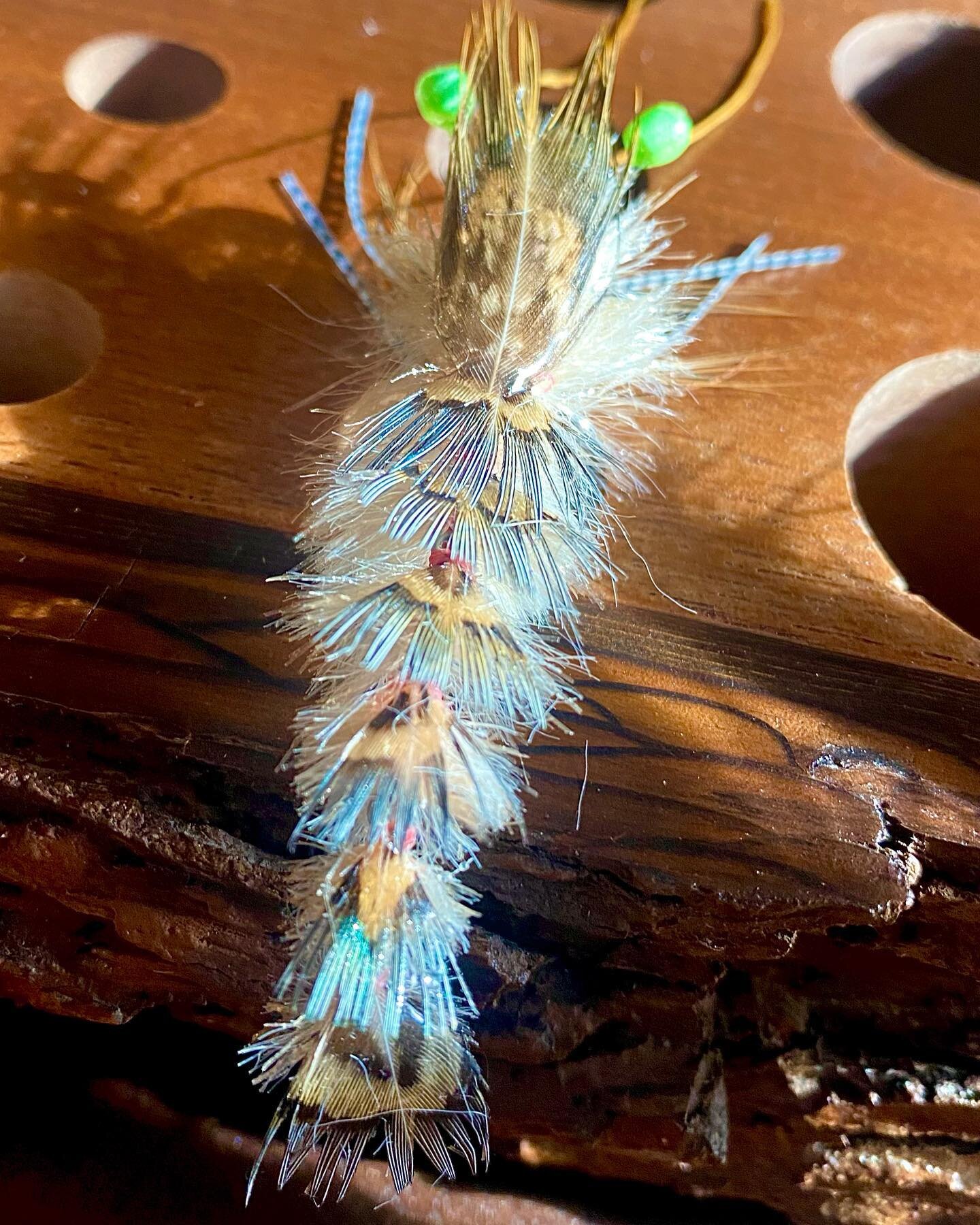 &ldquo;. &ldquo;Shrimp Changer&rdquo;  Working on the new book, lots of flies I&rsquo;ve been holding back. Lots of stories from fishing adventures past and present. New products, materials and other cool stuff coming soon from me and @flymenfishingc