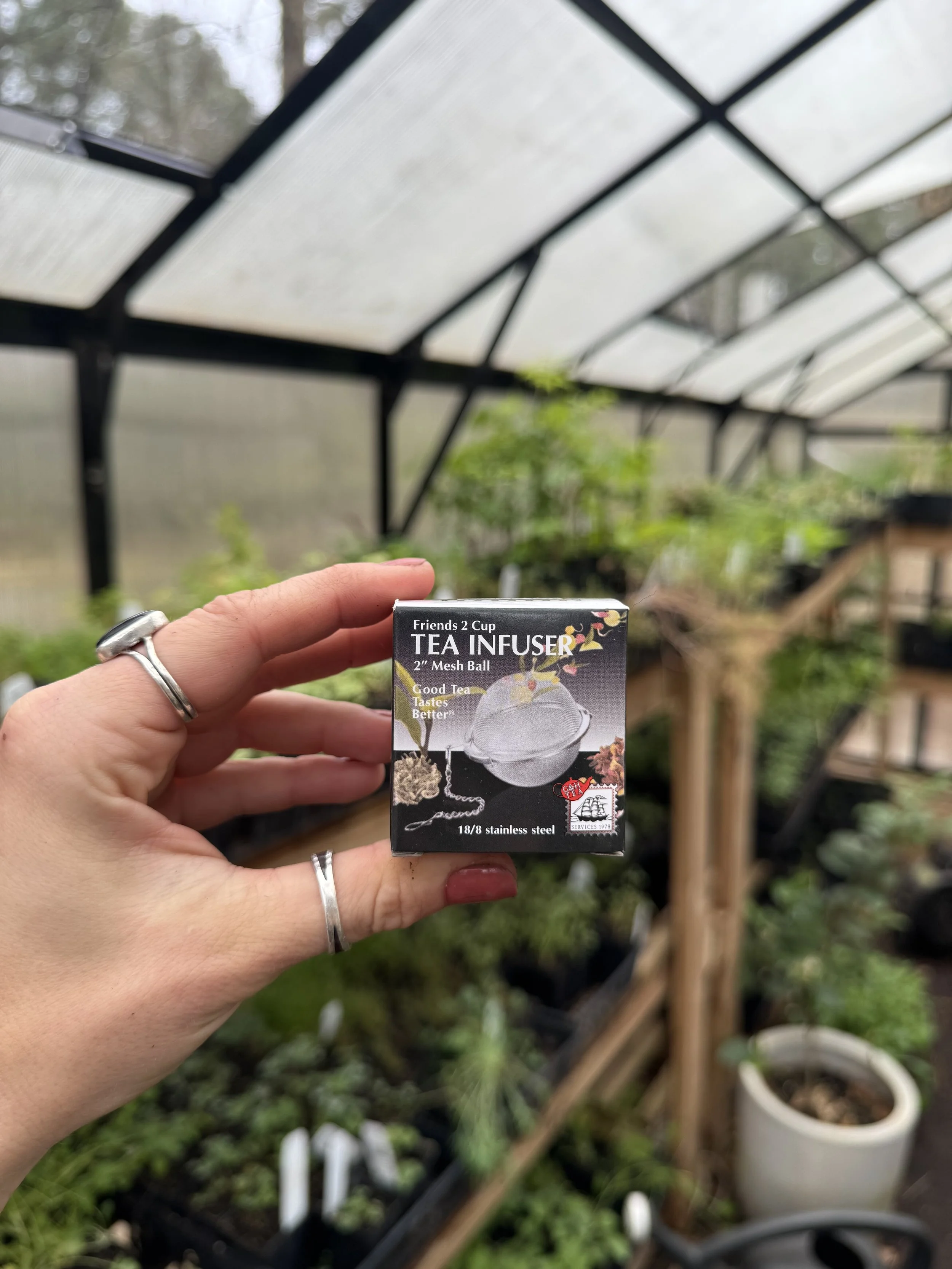 2" Mesh Ball Tea Infuser