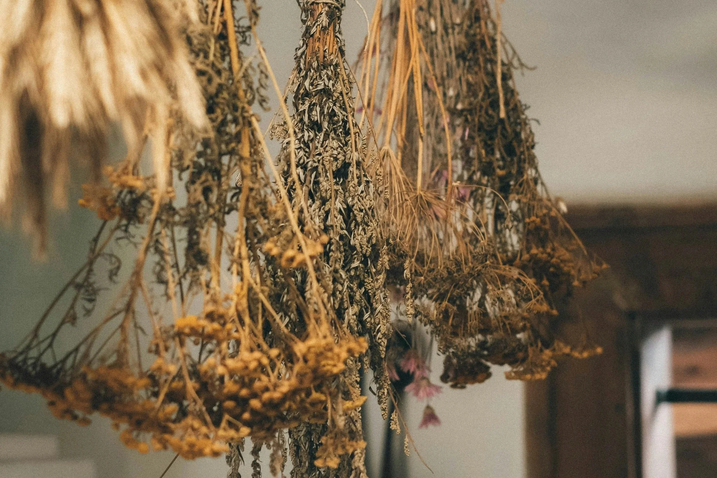 Your End-of-Summer Guide to Preserving Herbs