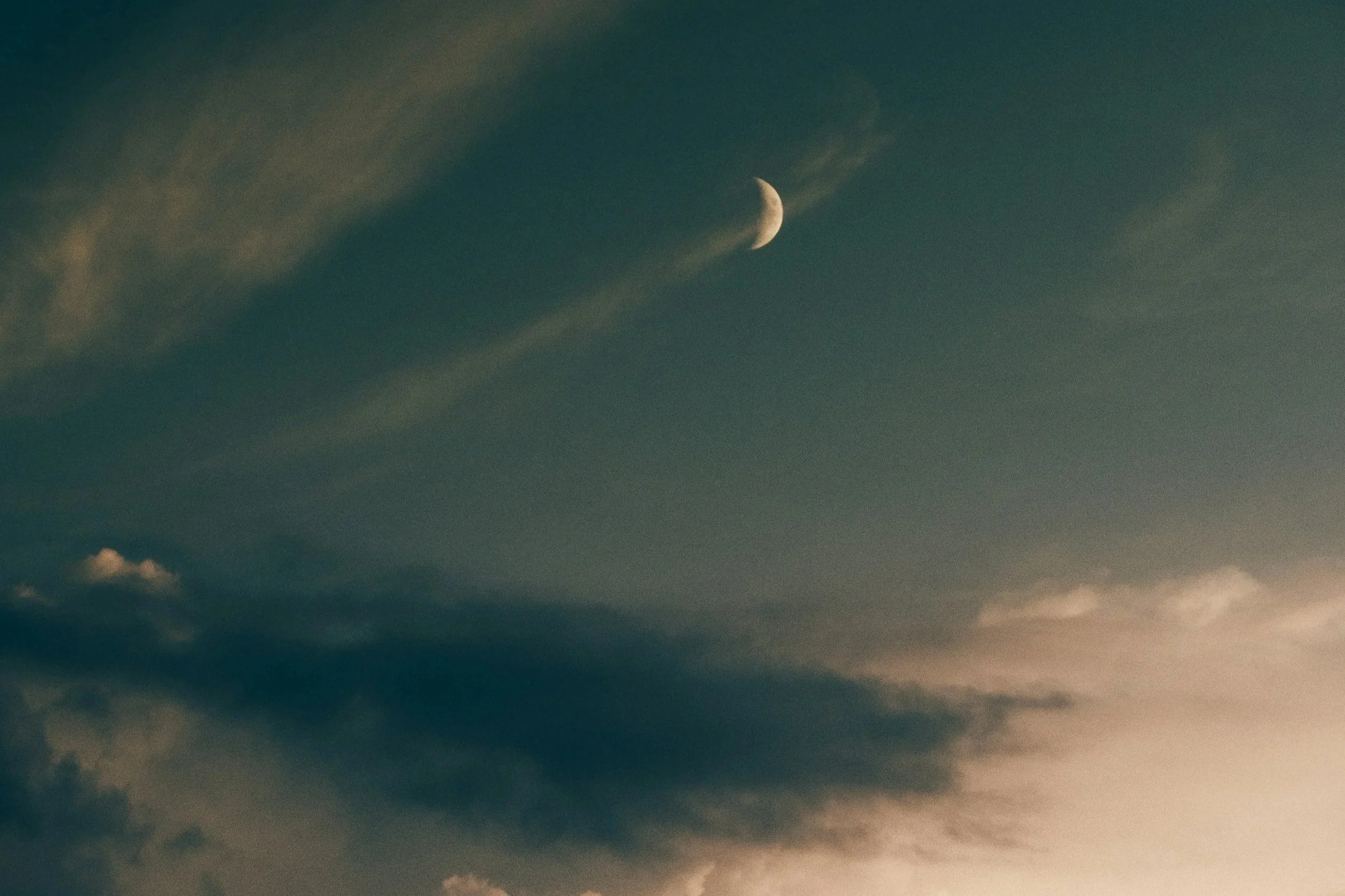 Sleep Through the Seasons: Herbal Allies for Restful Nights, Year-Round