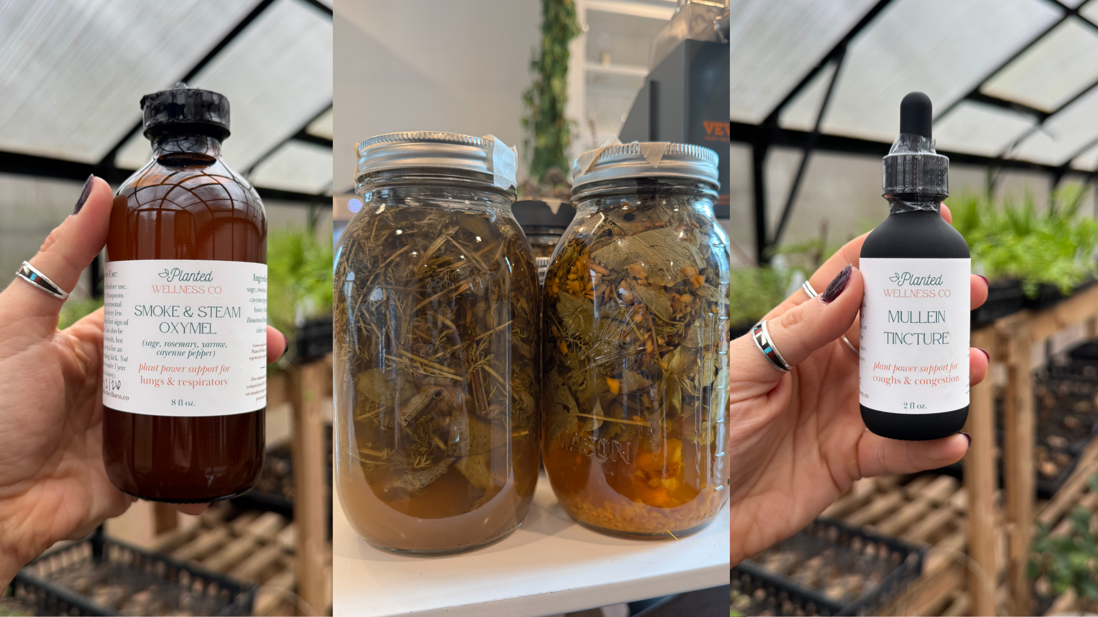 Herbal Allies for Cold &amp; Flu Support