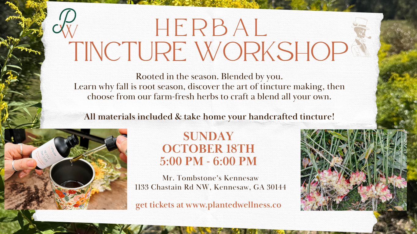 Folk Tincture Making Workshop