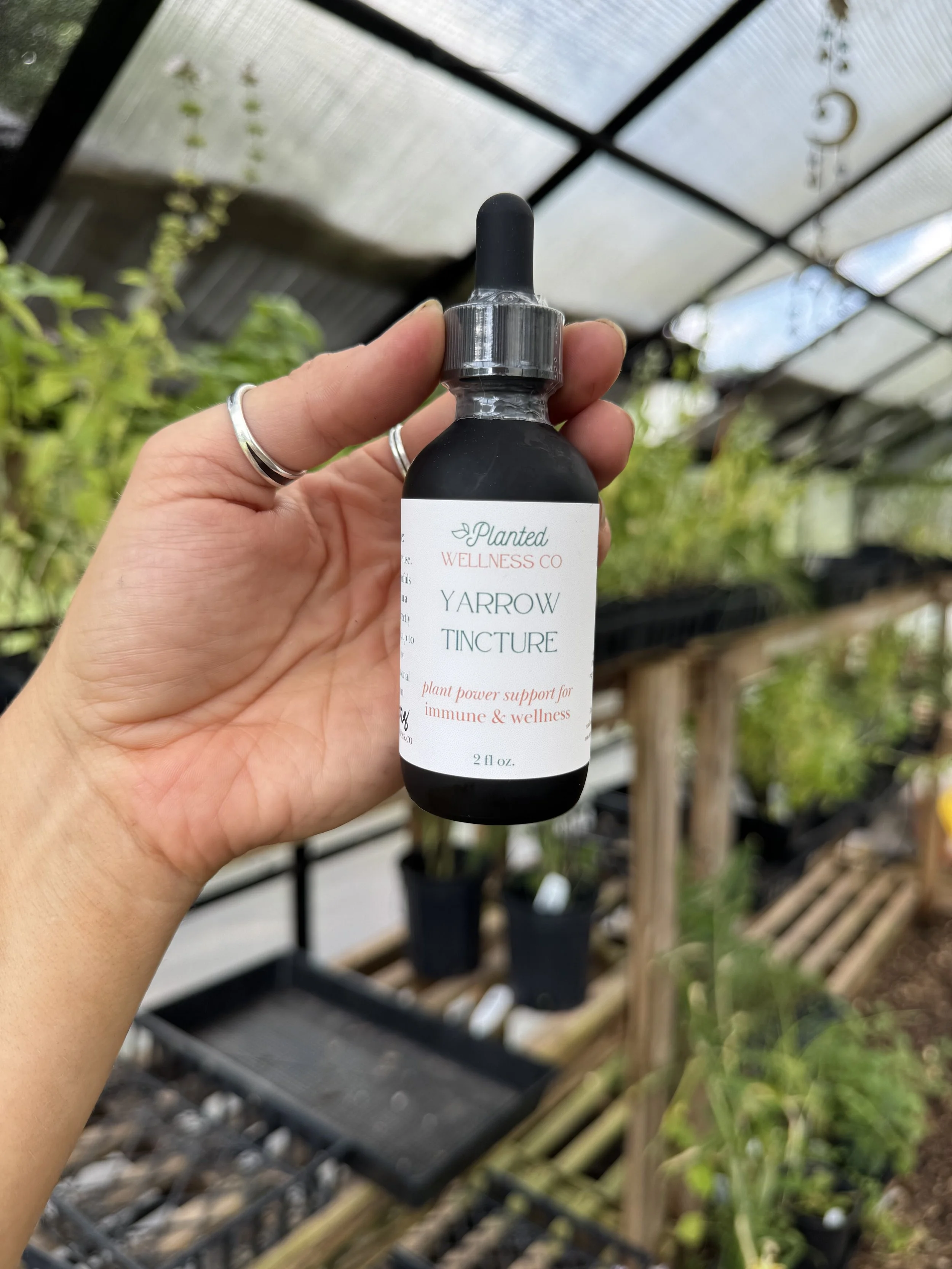 yarrow-tincture-image