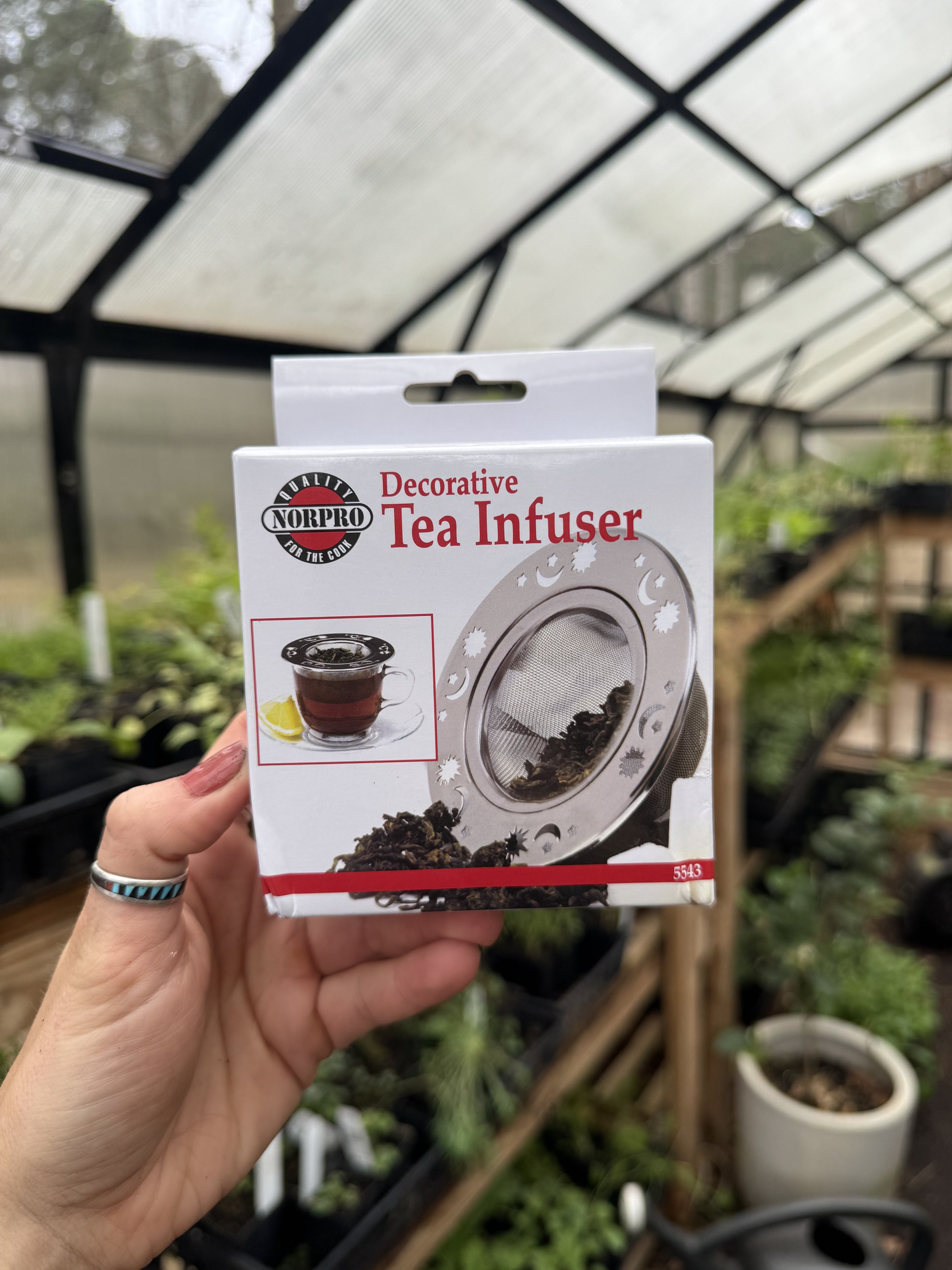 decorative-tea-infuser