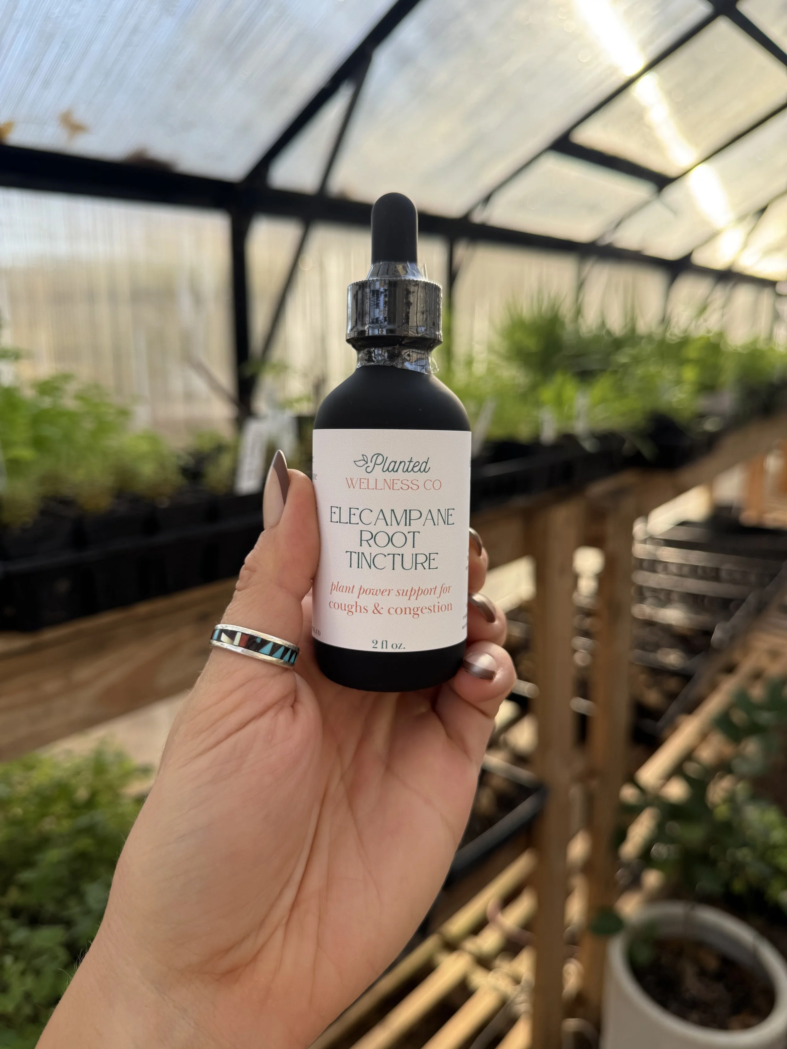 elecampane-root-tincture-image