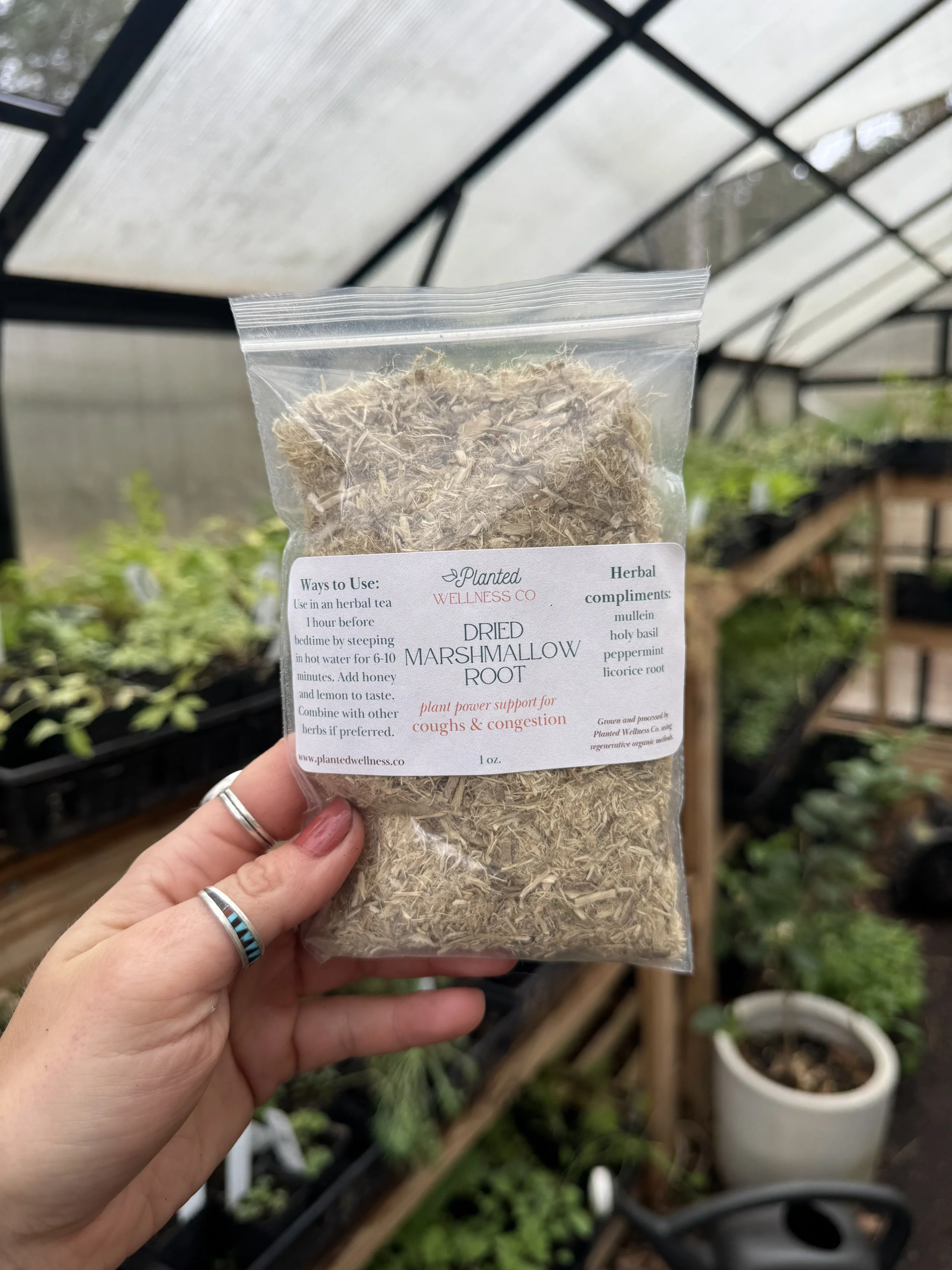 dried-marshmallow-root-image