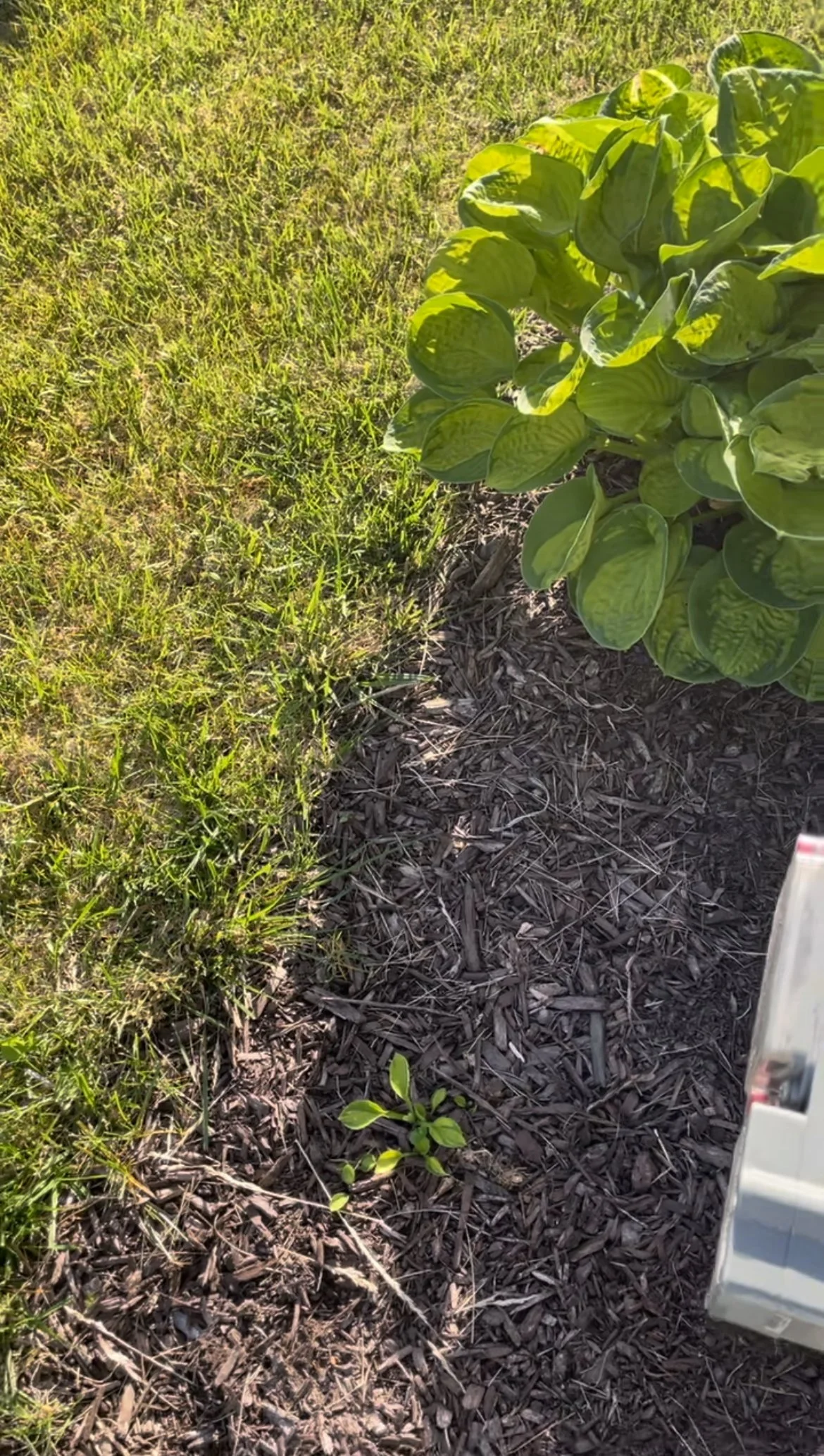 Growth isn’t linear.