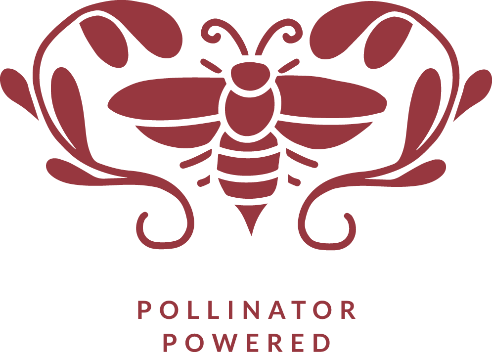 Apis Apotheca - Pollinator - Magenta.png