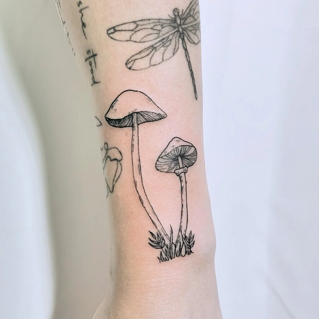 some cutie little mushrooms for Ally! 🍄&zwj;🟫✨🌿
.
.
.
.
.
.
.
.
.
#brooklyntattoo #brooklyntattooartist #nyctattoo #nyctattooartist #mushroomtattoo #botanicaltattoo #williamsburgtattoo